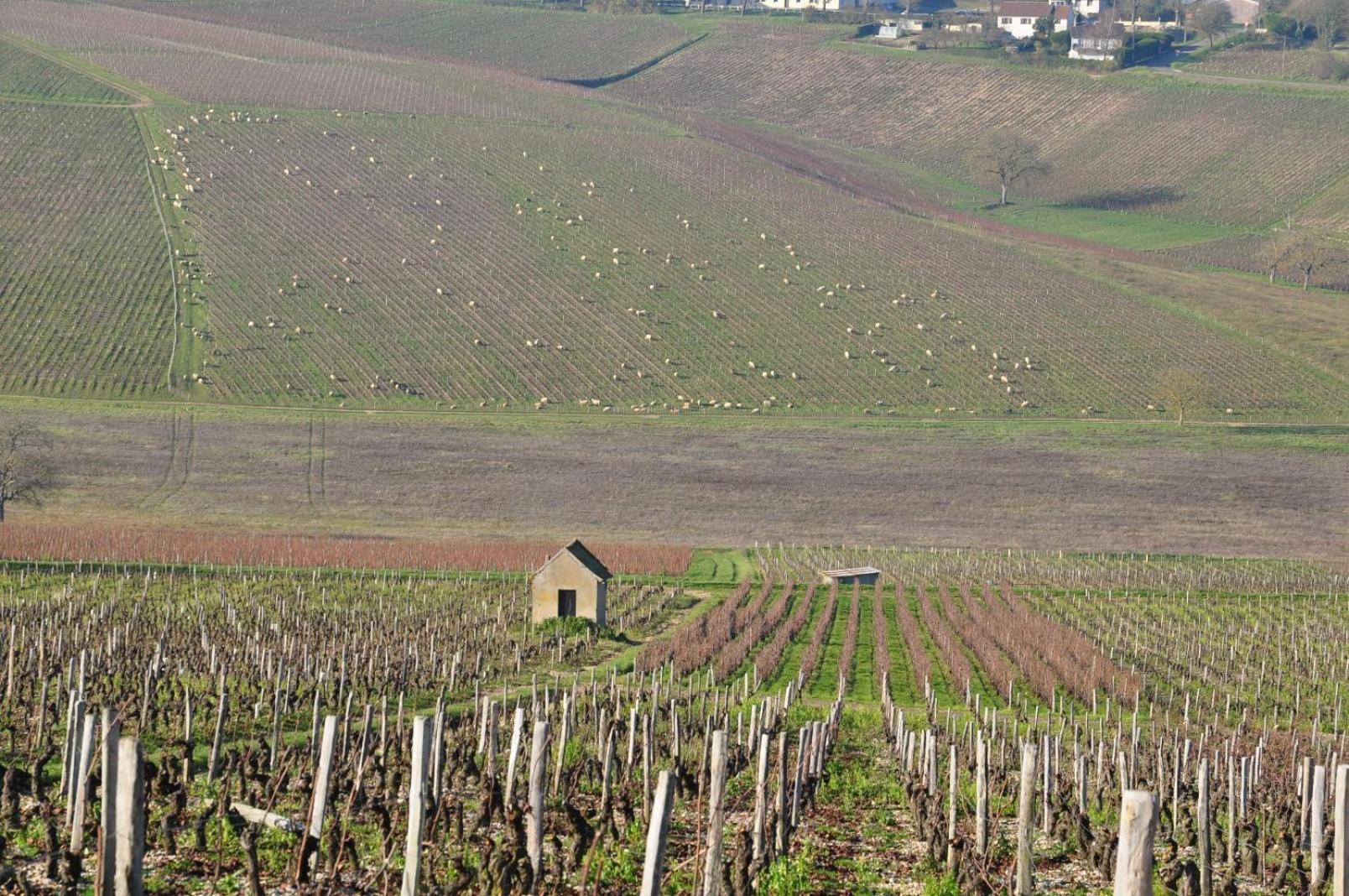 l'abri du viaduc view 5