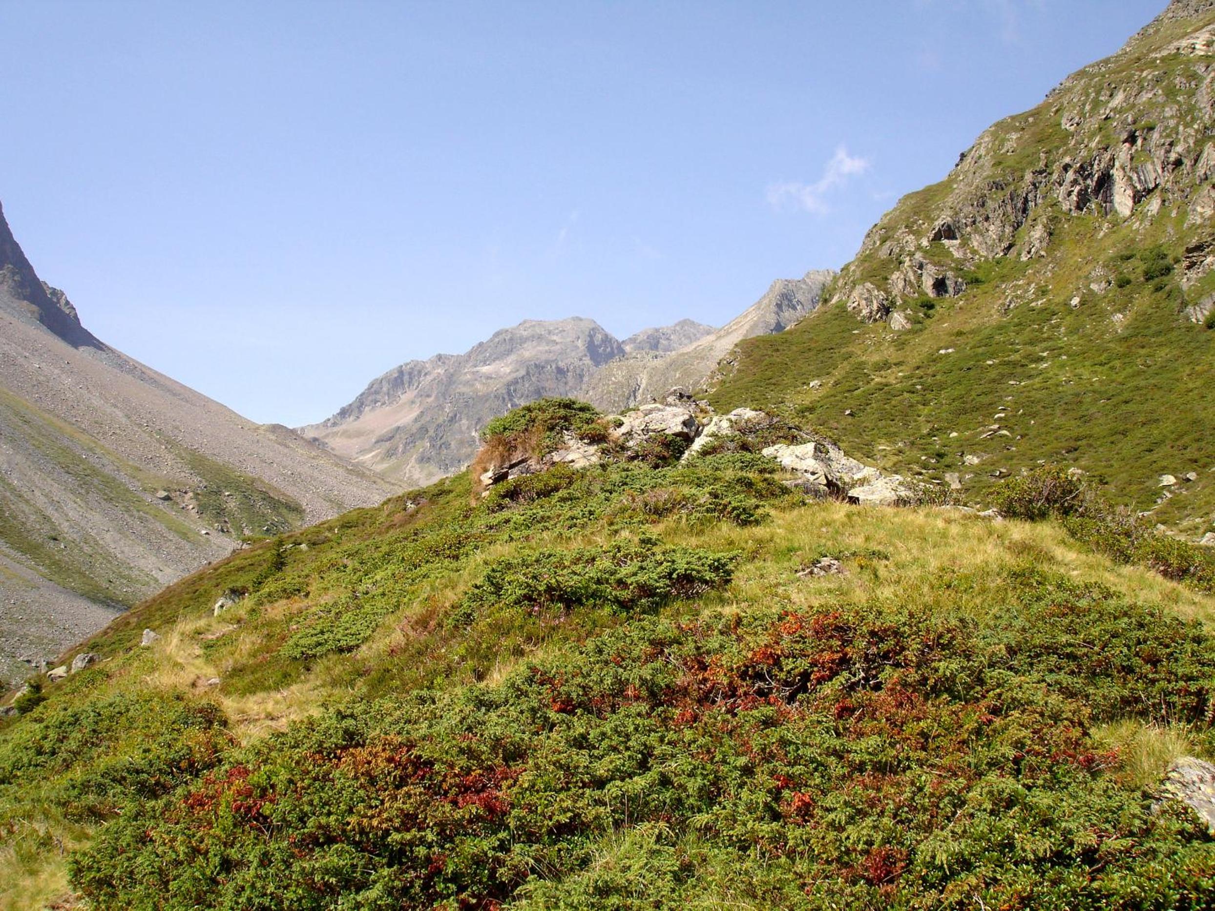 Photo 35