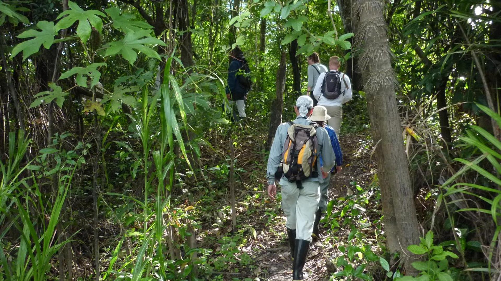 Amazon Muyuna Lodge - All Inclusive