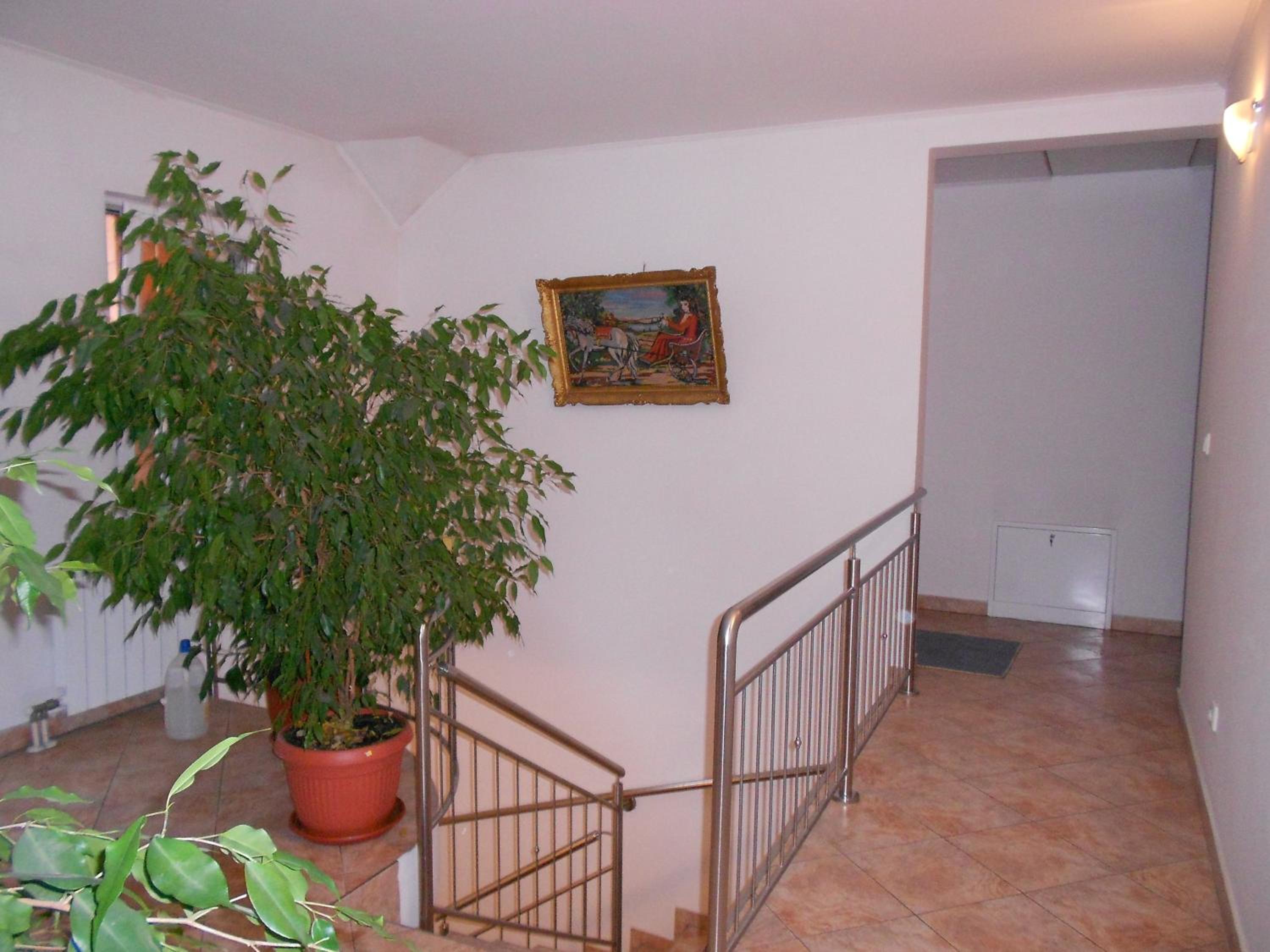 Rooms Zebax