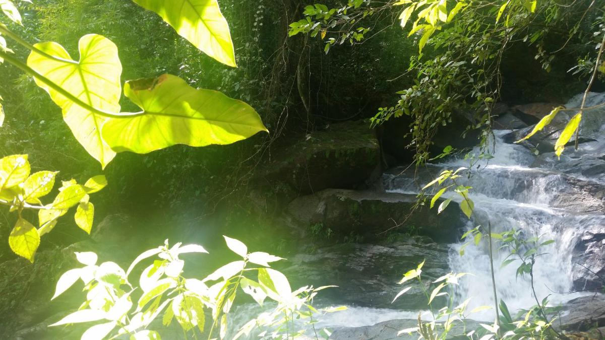 Photo 33