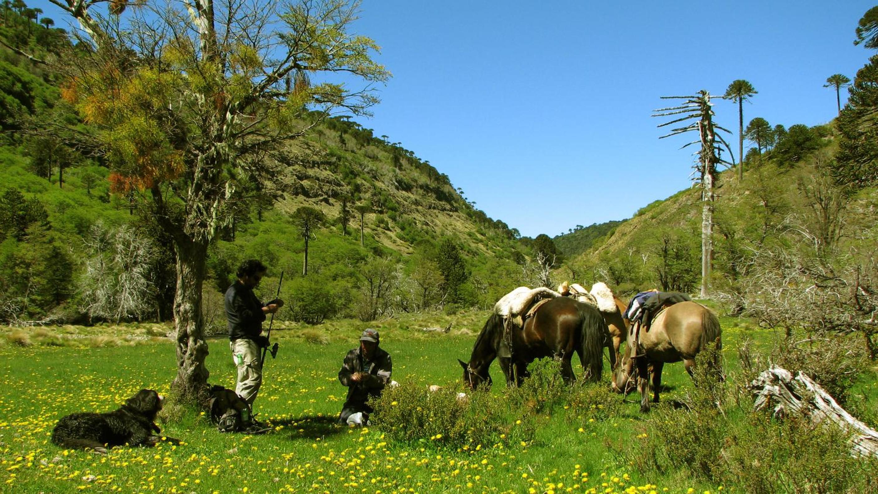Refugio Las Raices view 4