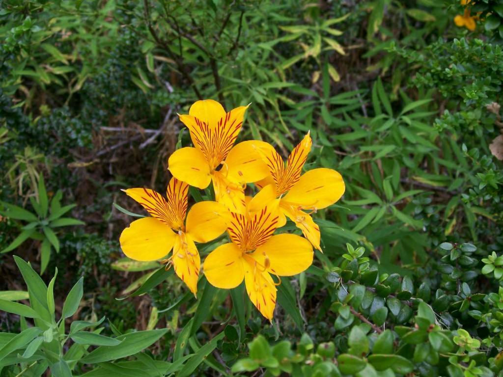 Photo 76