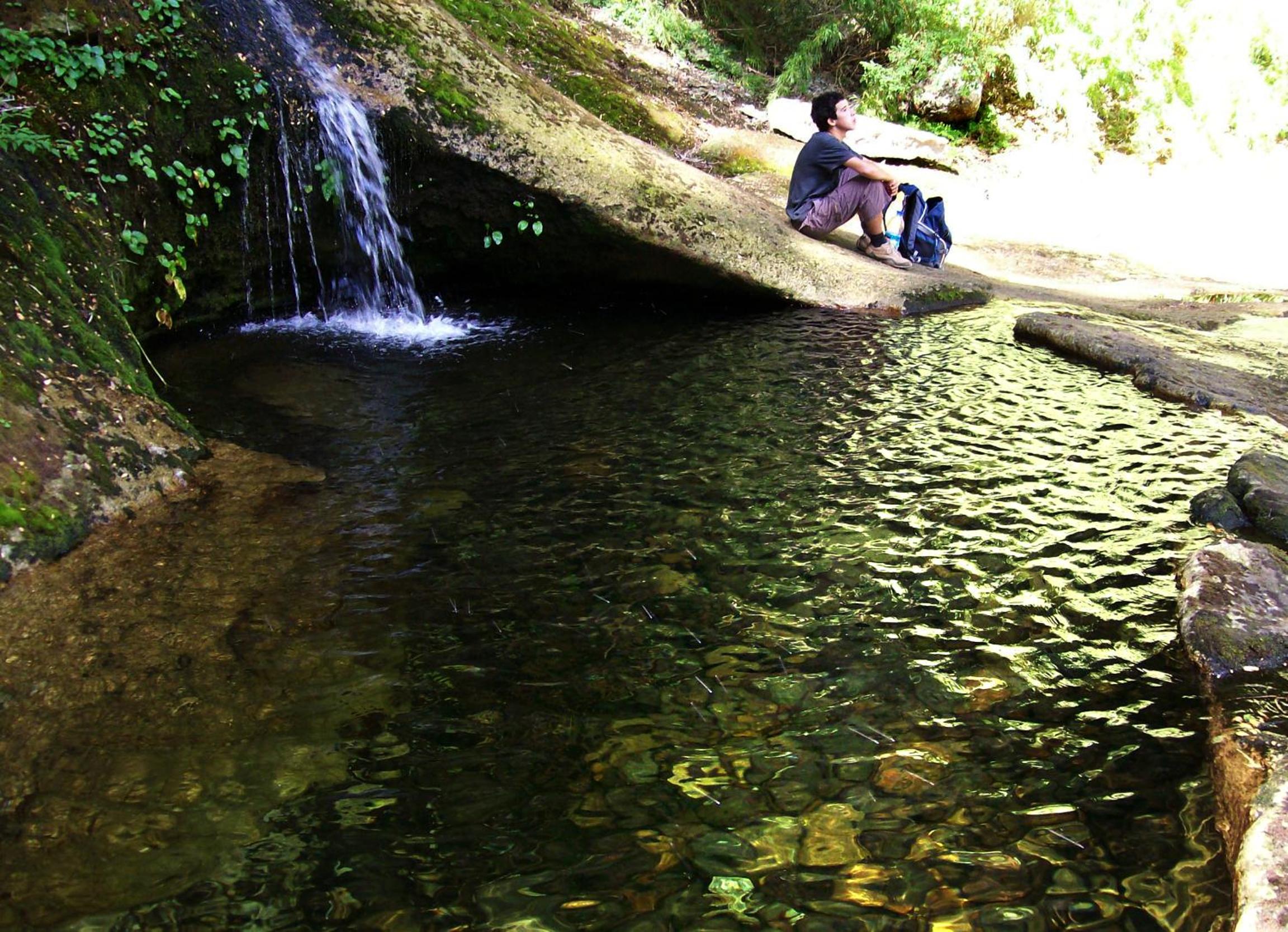 Photo 41