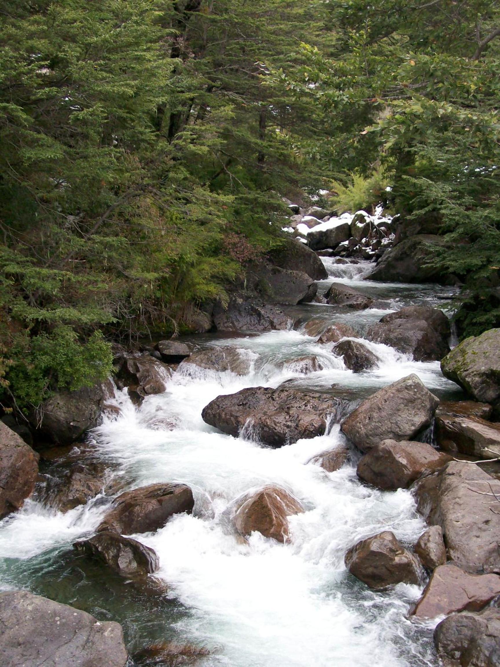 Photo 47