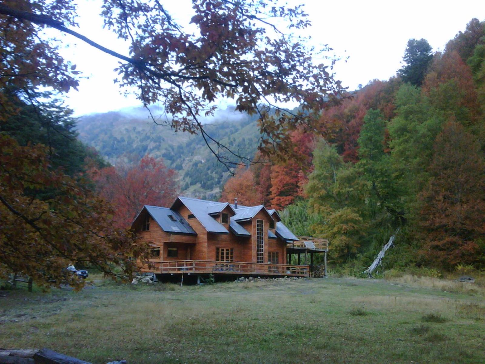 Photo 31