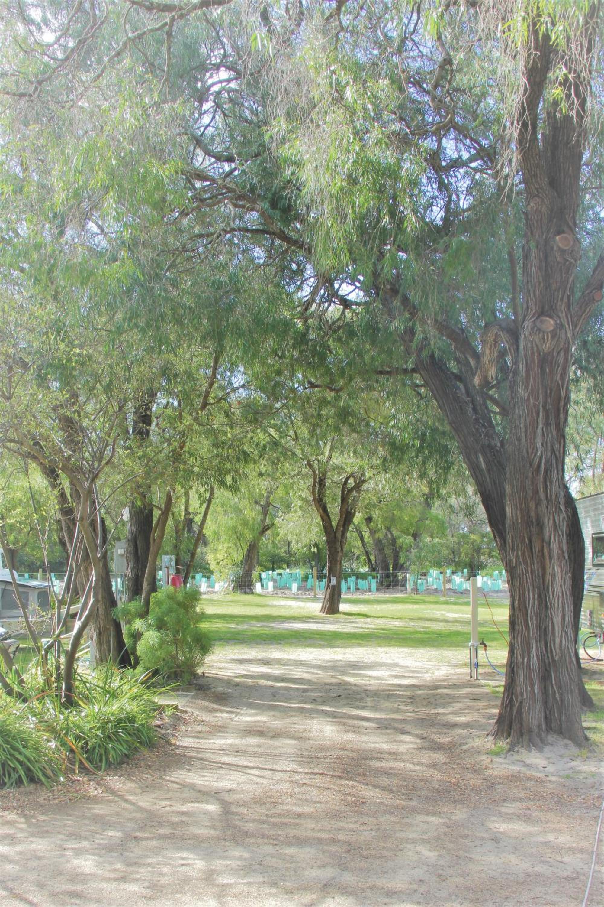 Sandy Bay Holiday Park