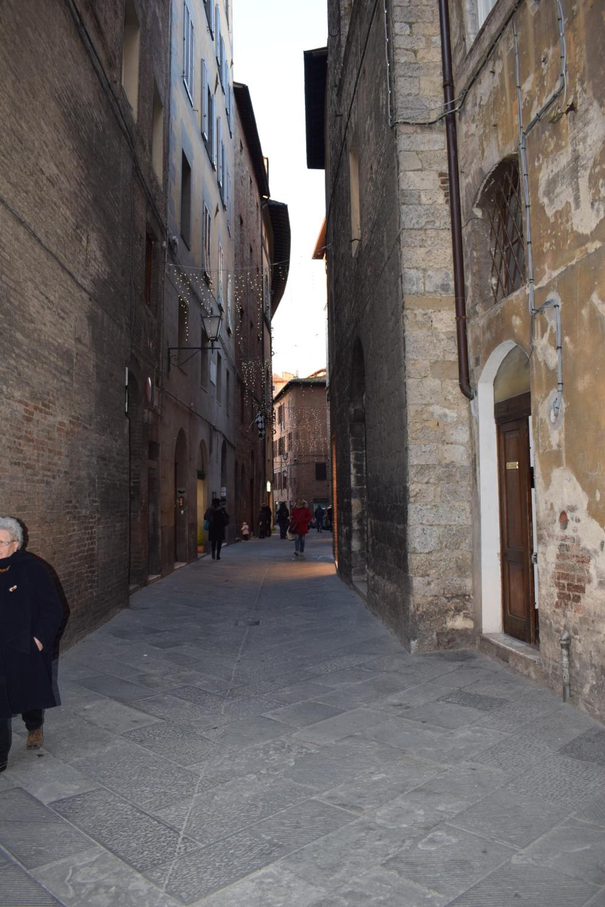 siena centro, civetta