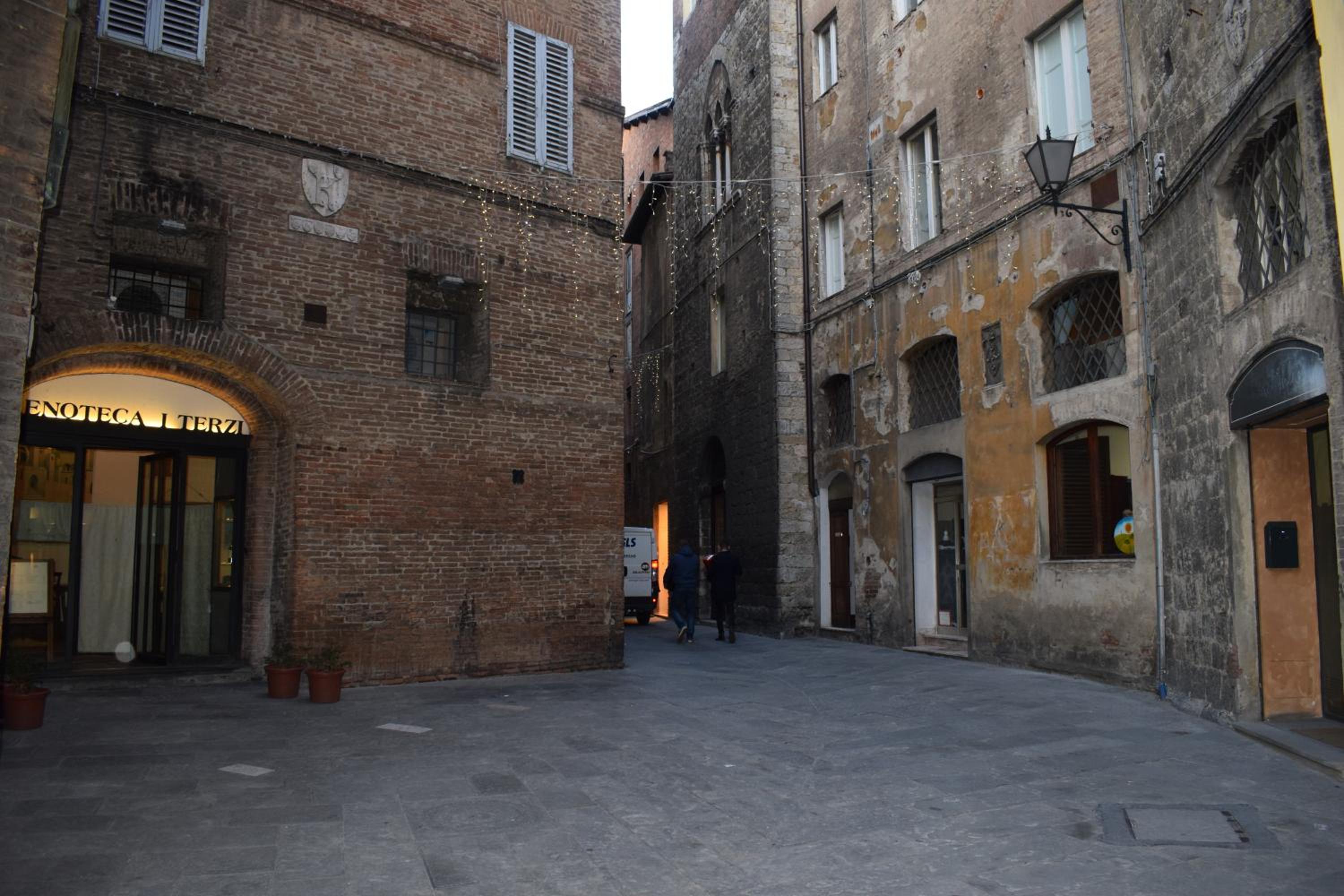 siena centro, civetta