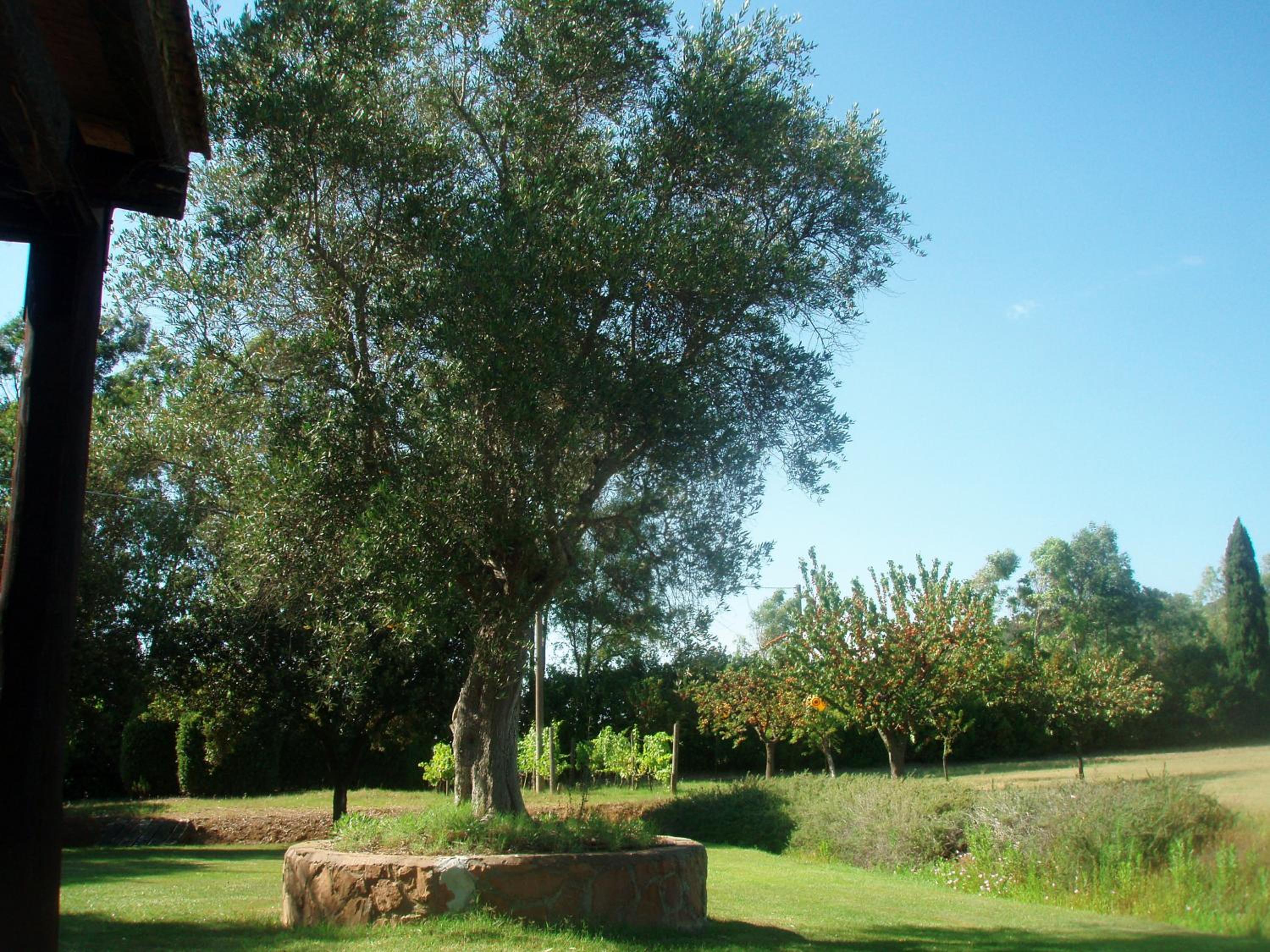 Photo 32