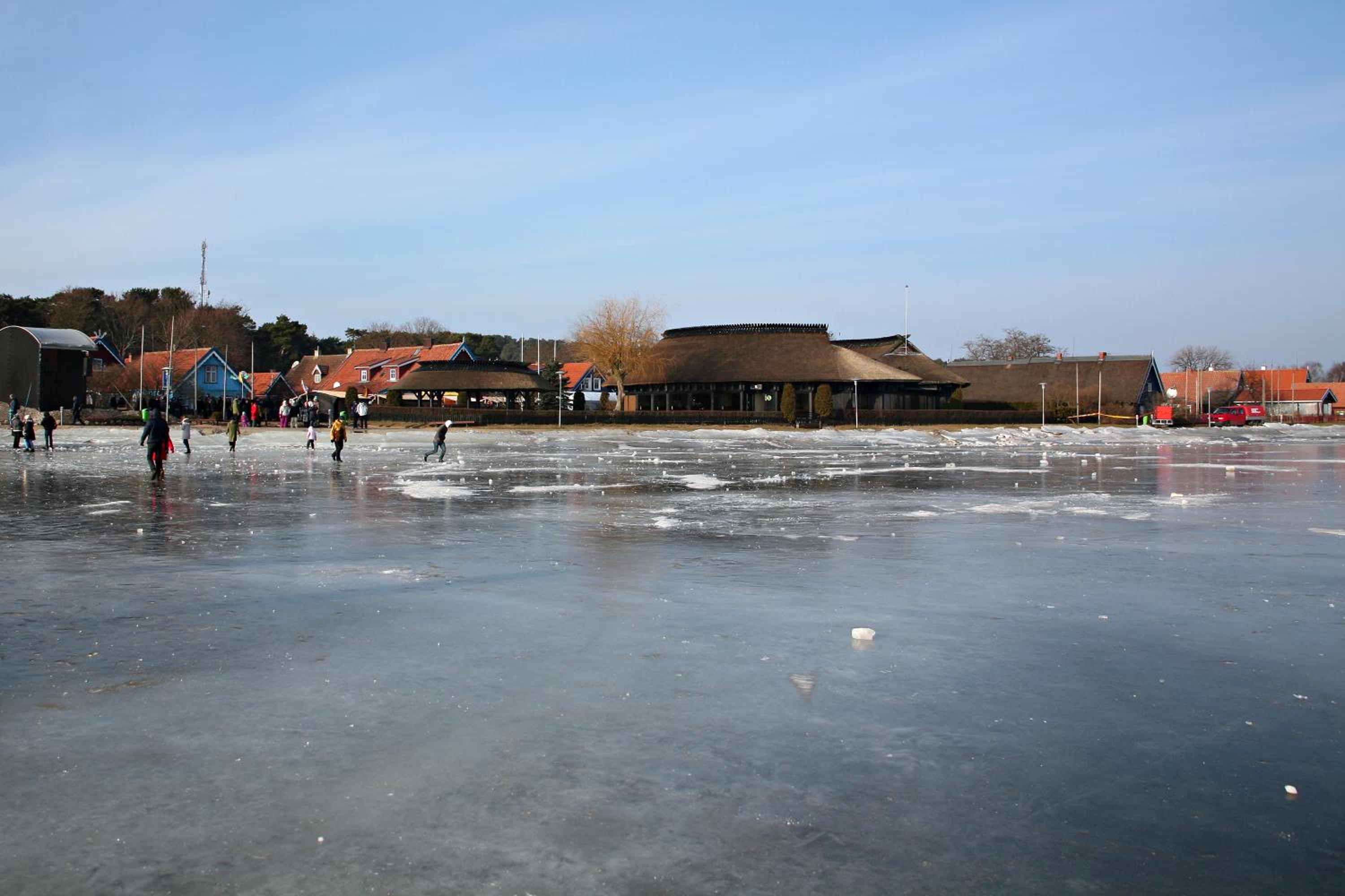Photo 41