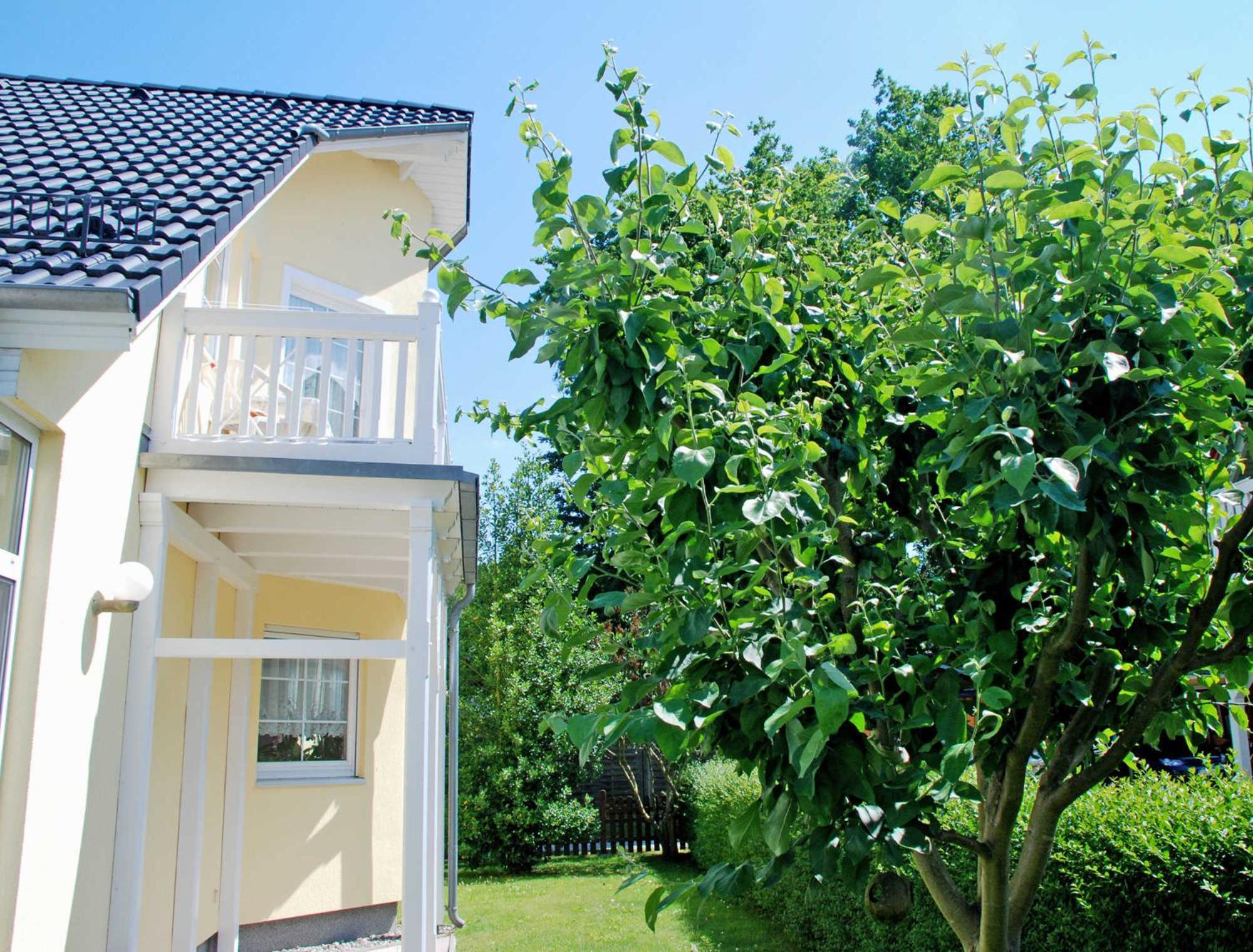 Ferienwohnung Schwalbennest view 4