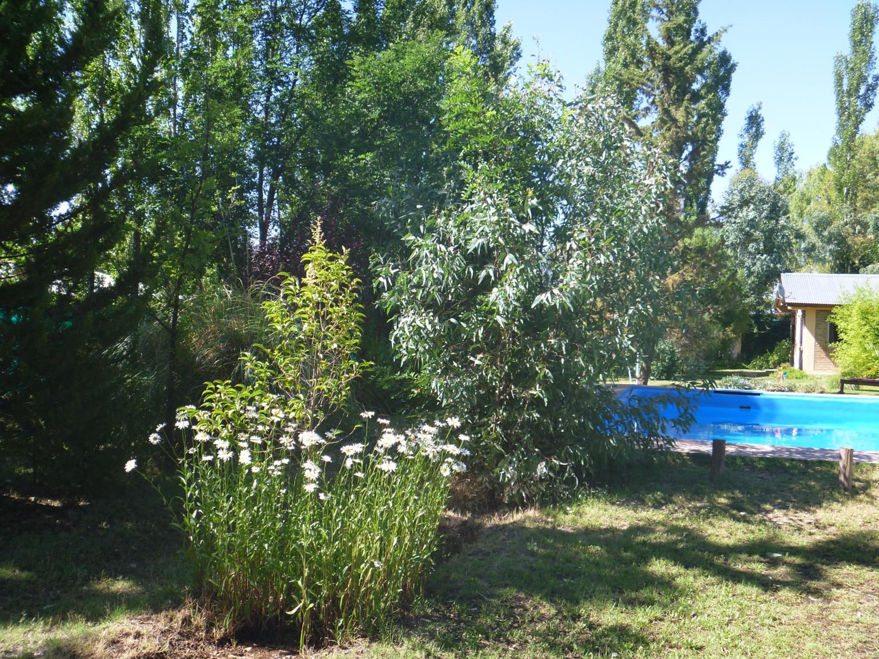 Cabañas Aike