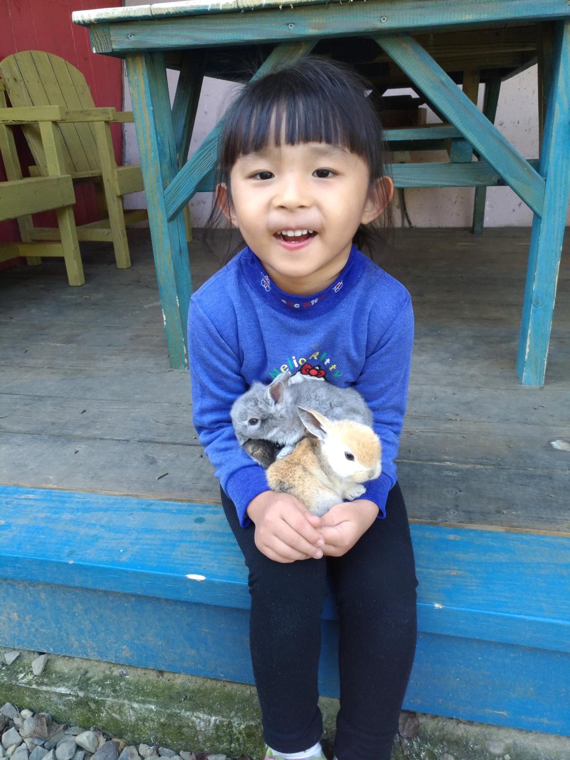 Photo 20