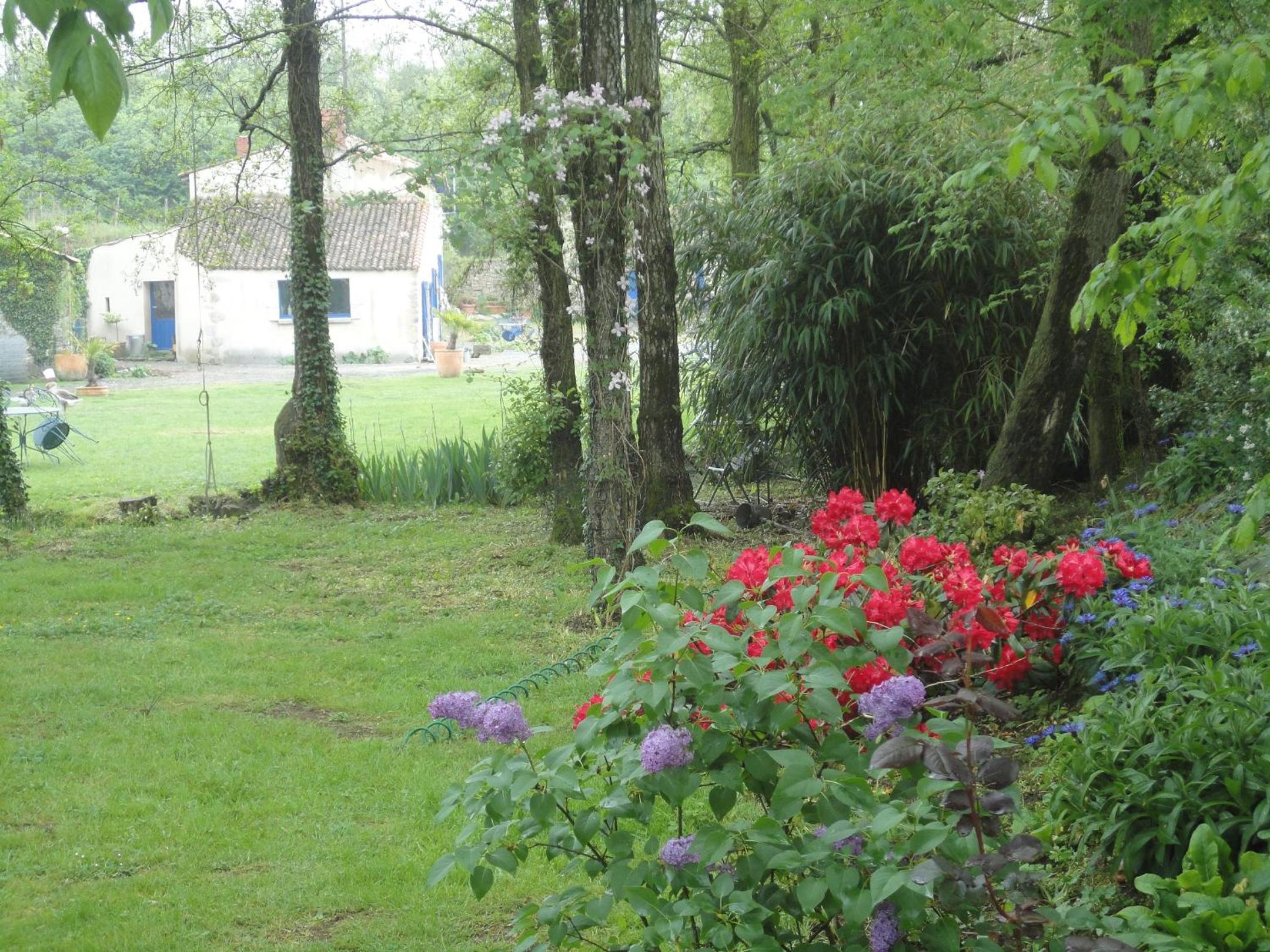 Photo 10