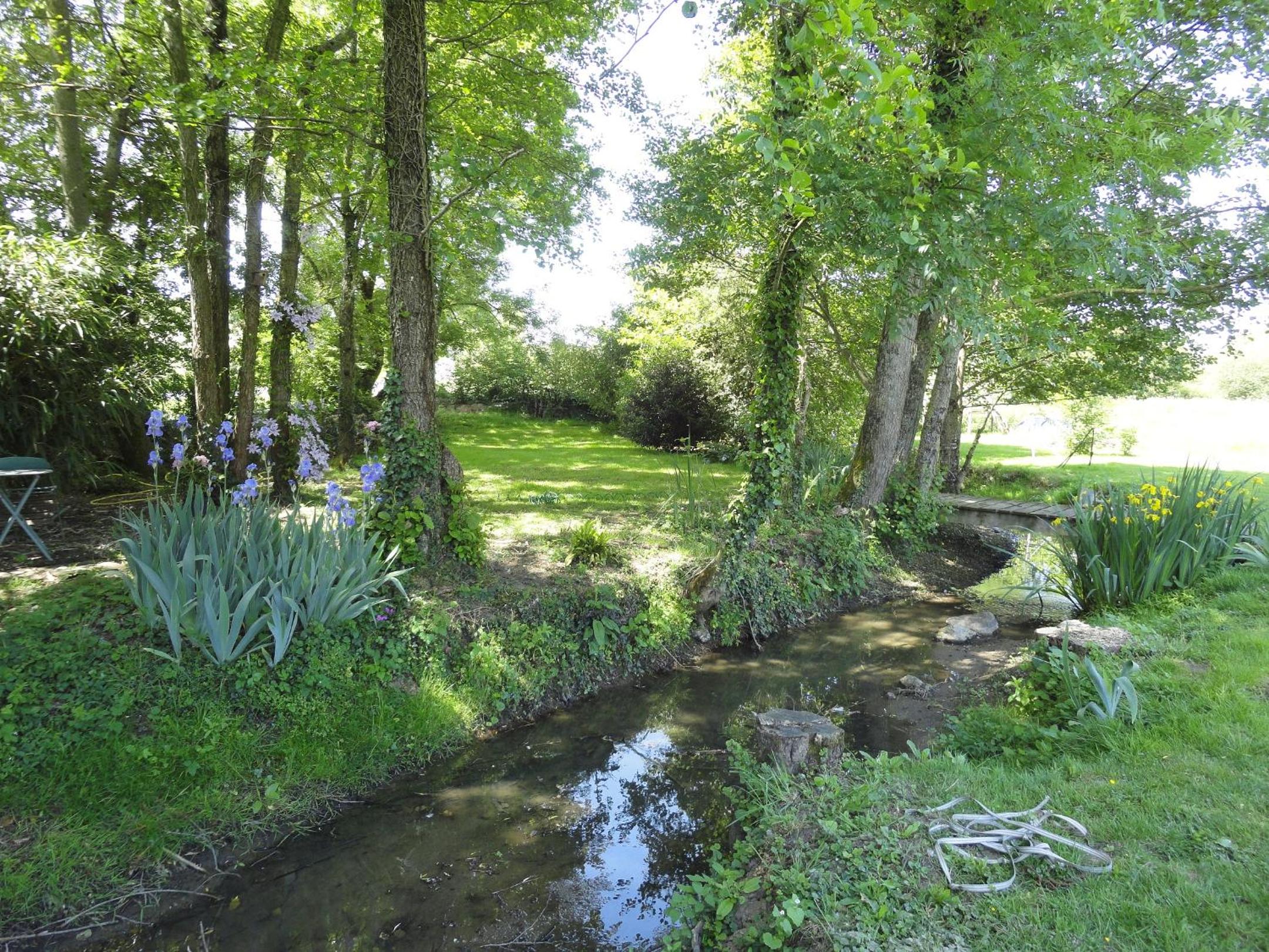 Photo 15