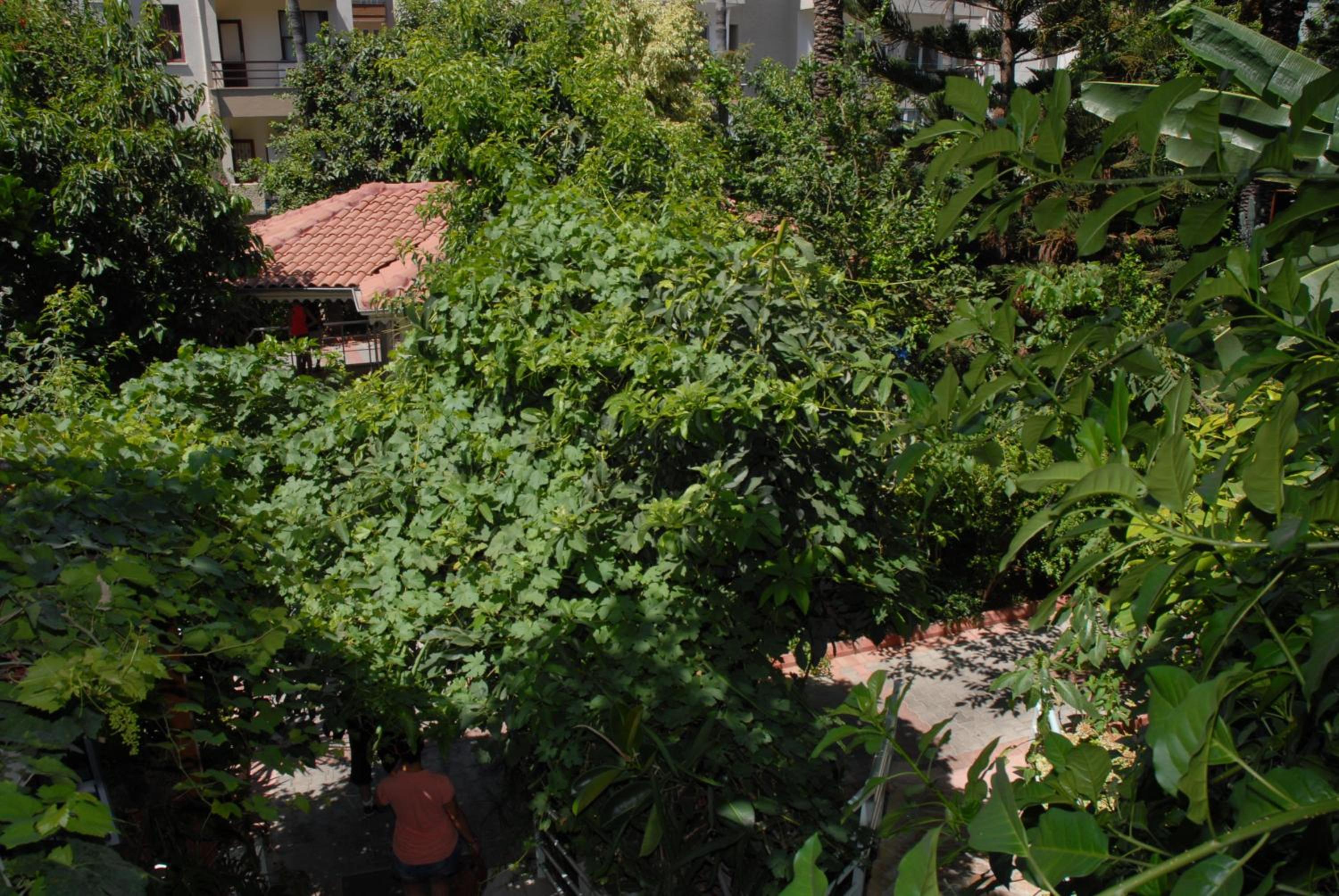 Merhaba Otel - Image 26