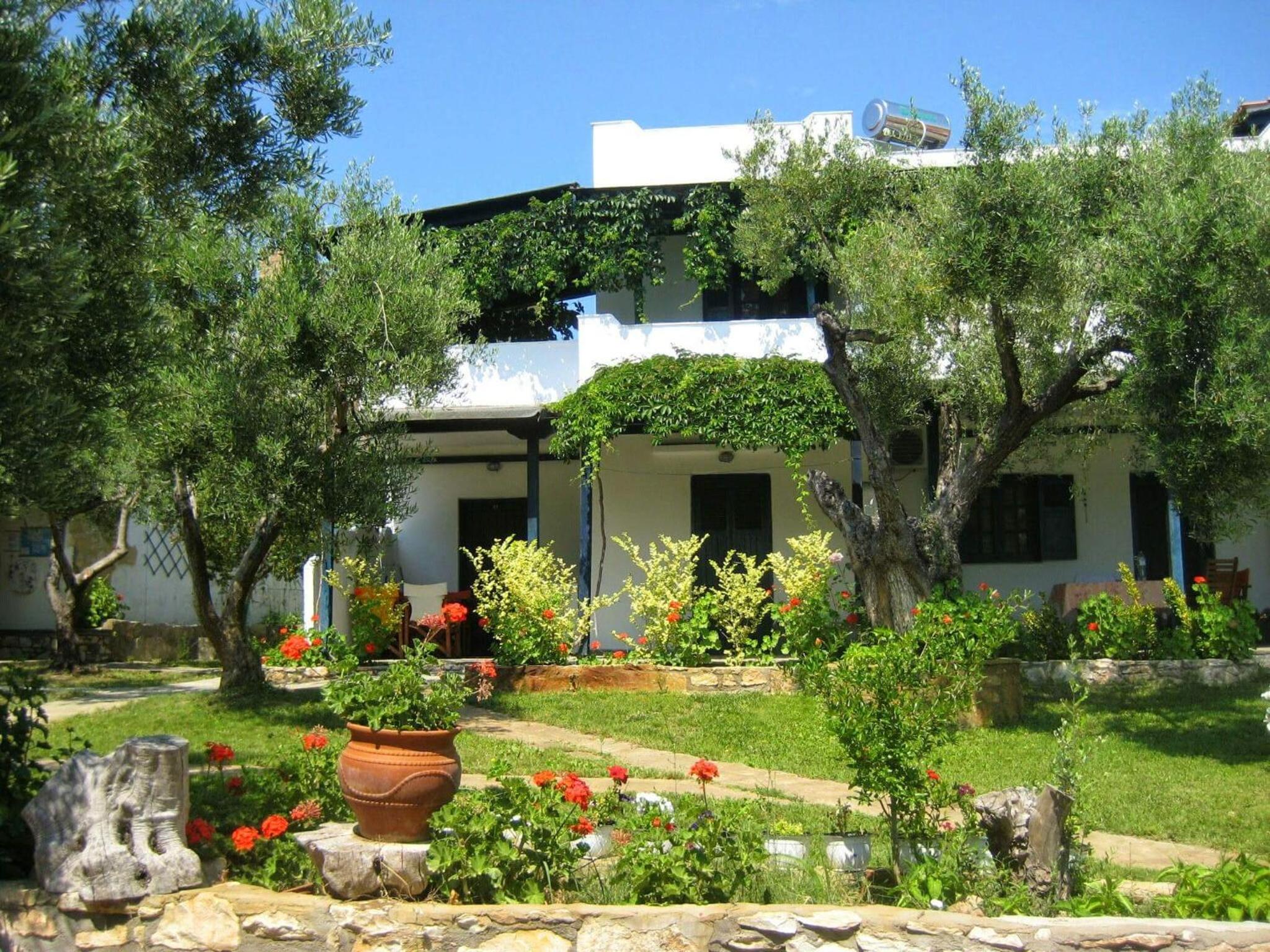Photo 41