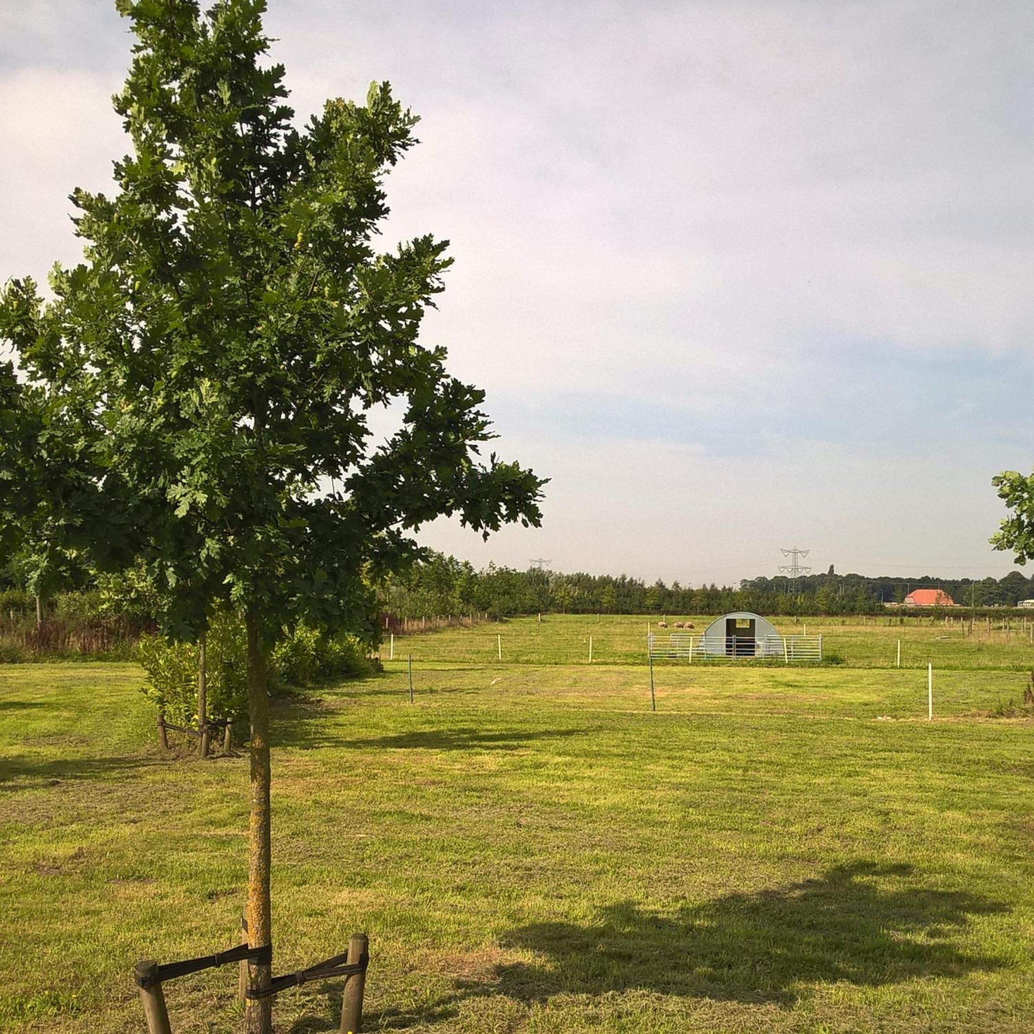 Photo 41