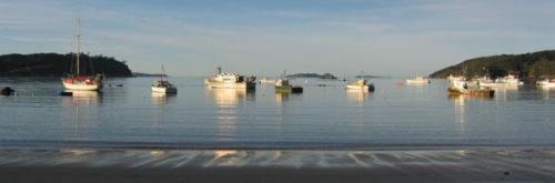 South Sea Hotel - Stewart Island