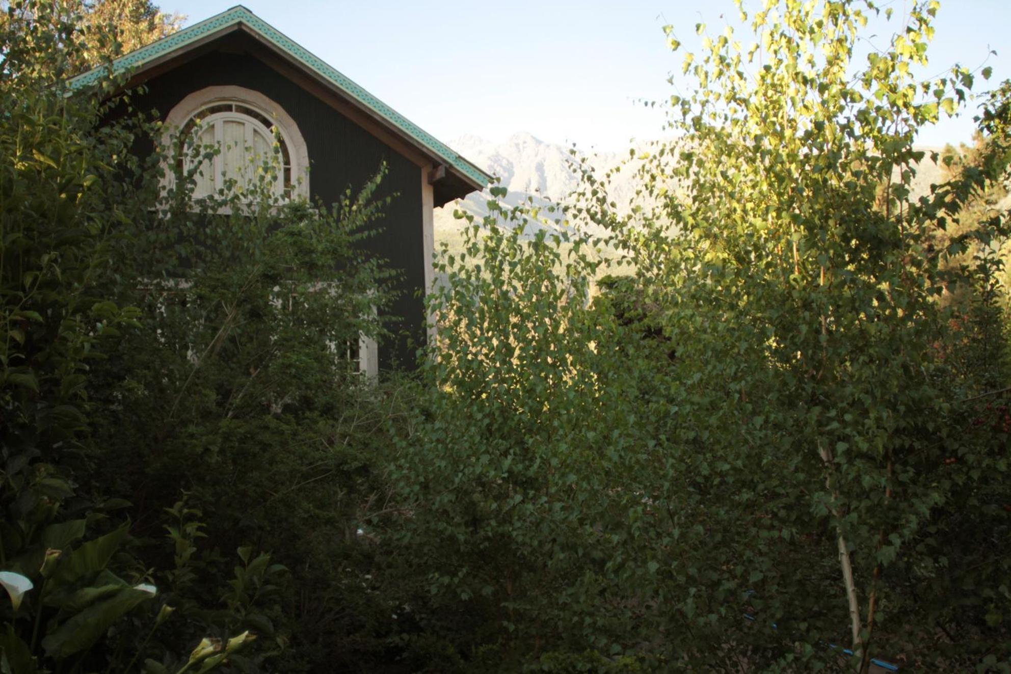 Photo 8