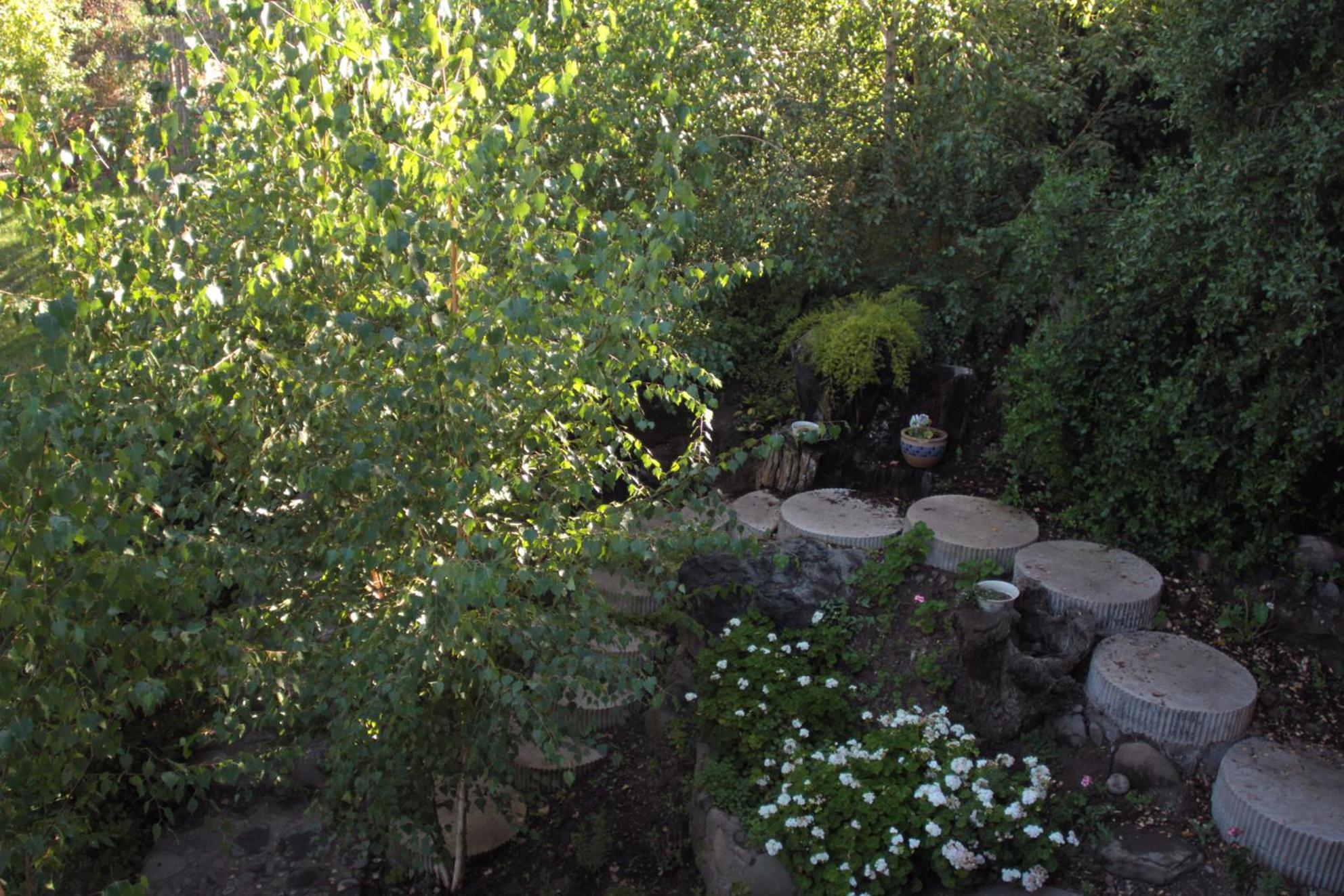 Photo 24