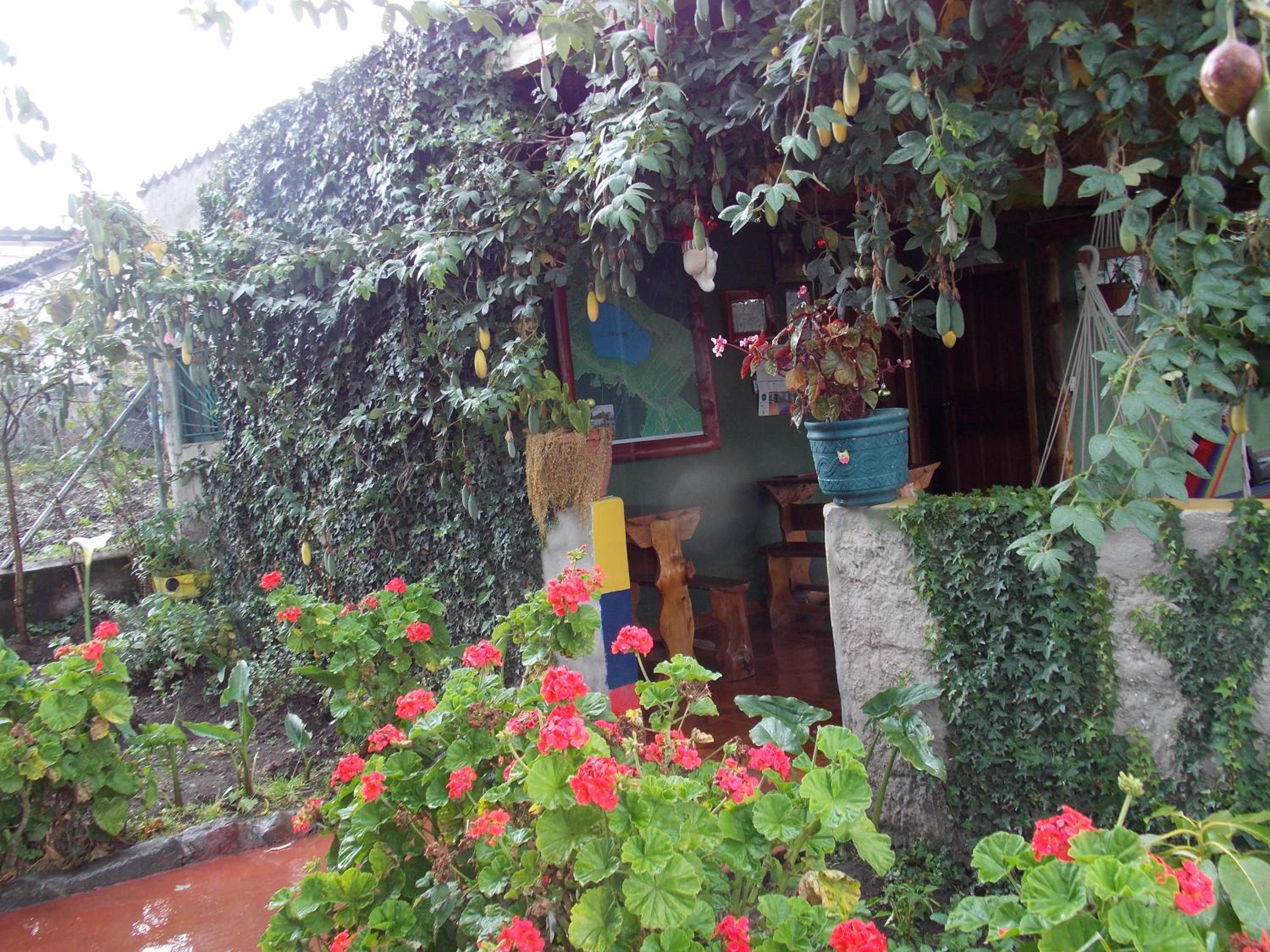 Green House Araque Inn
