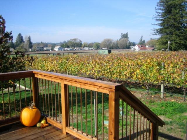 Pearlessence Vineyard Inn view 3