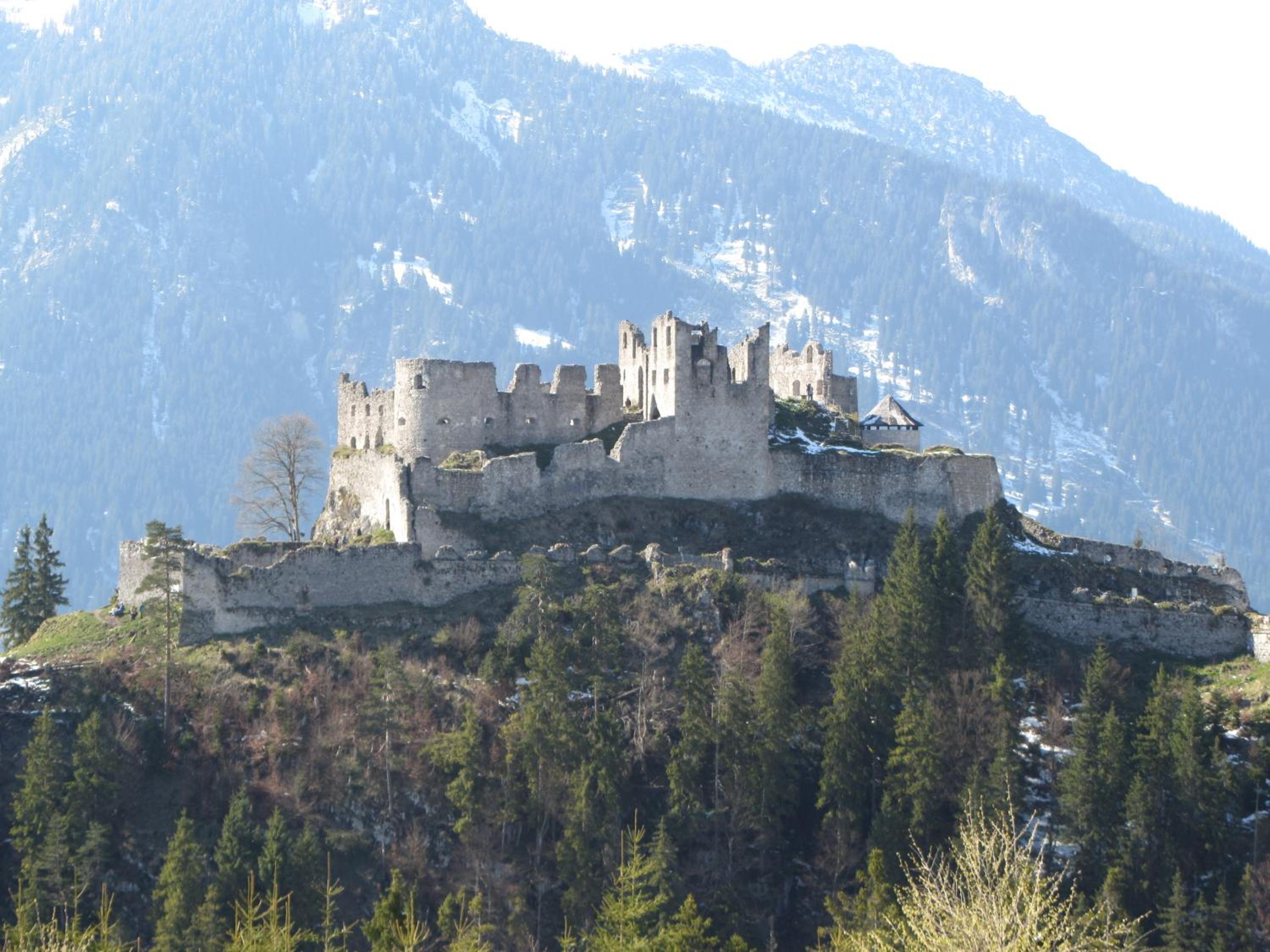 Photo 40
