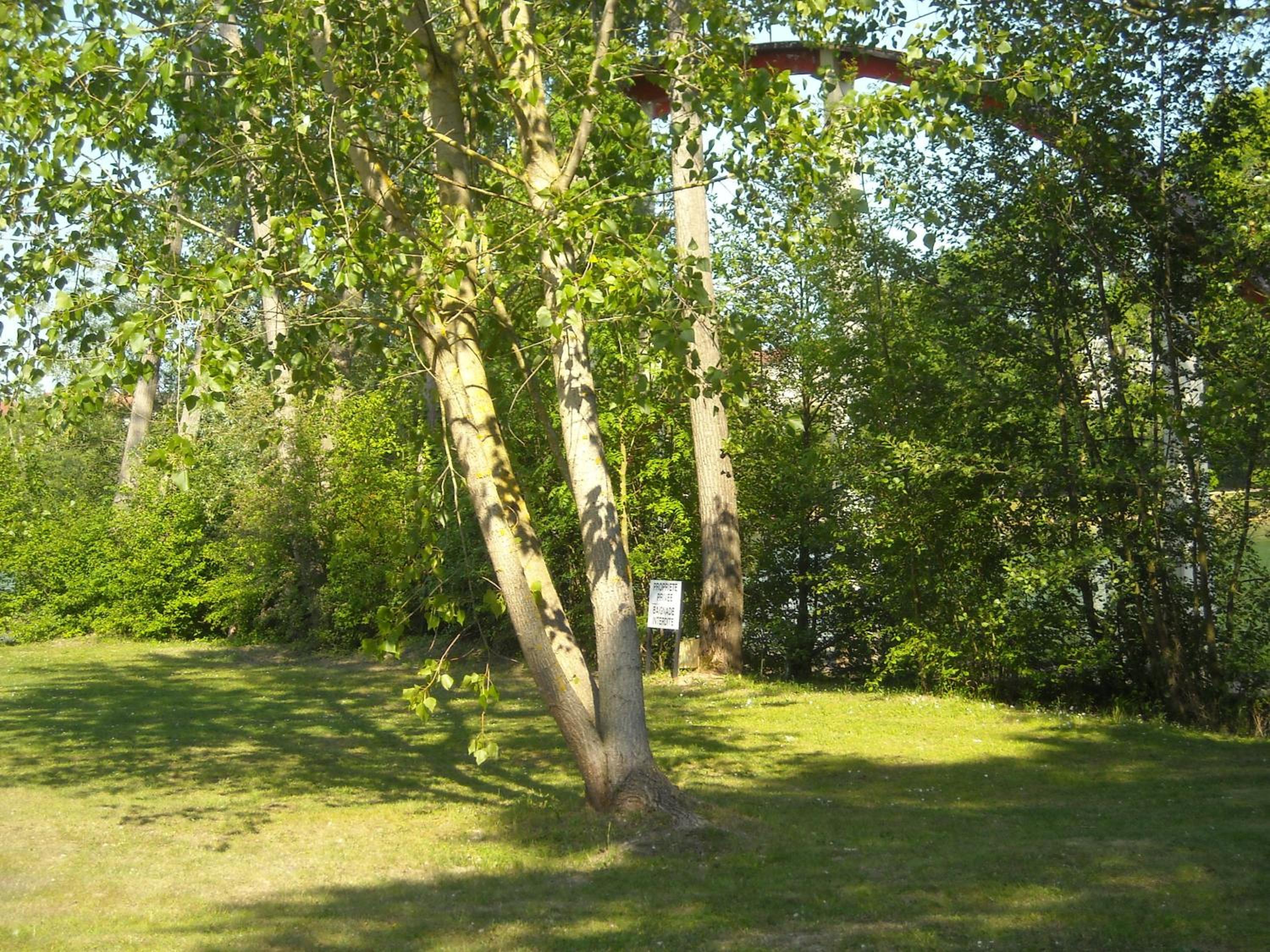 Hôtel Acostel, photo 9