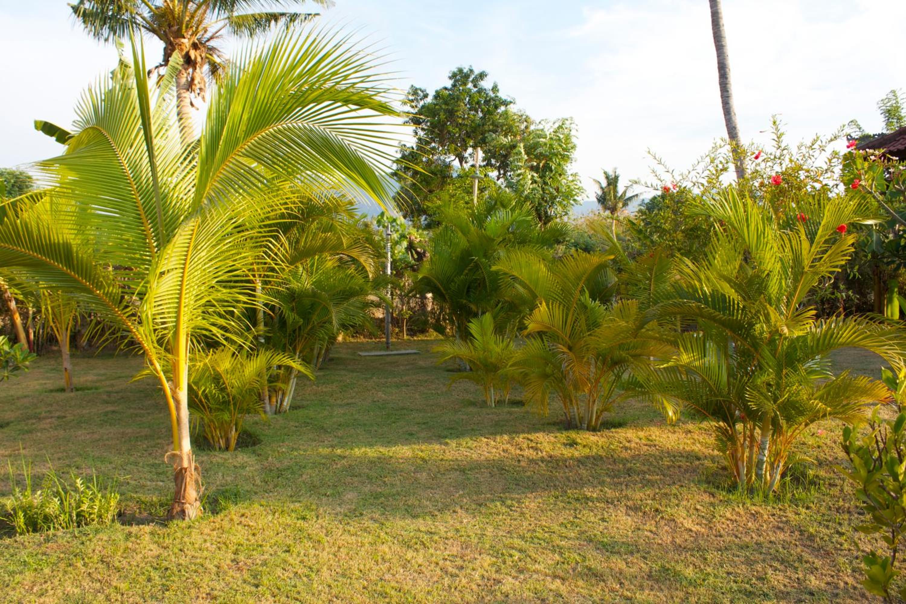 Bali Oase Resort