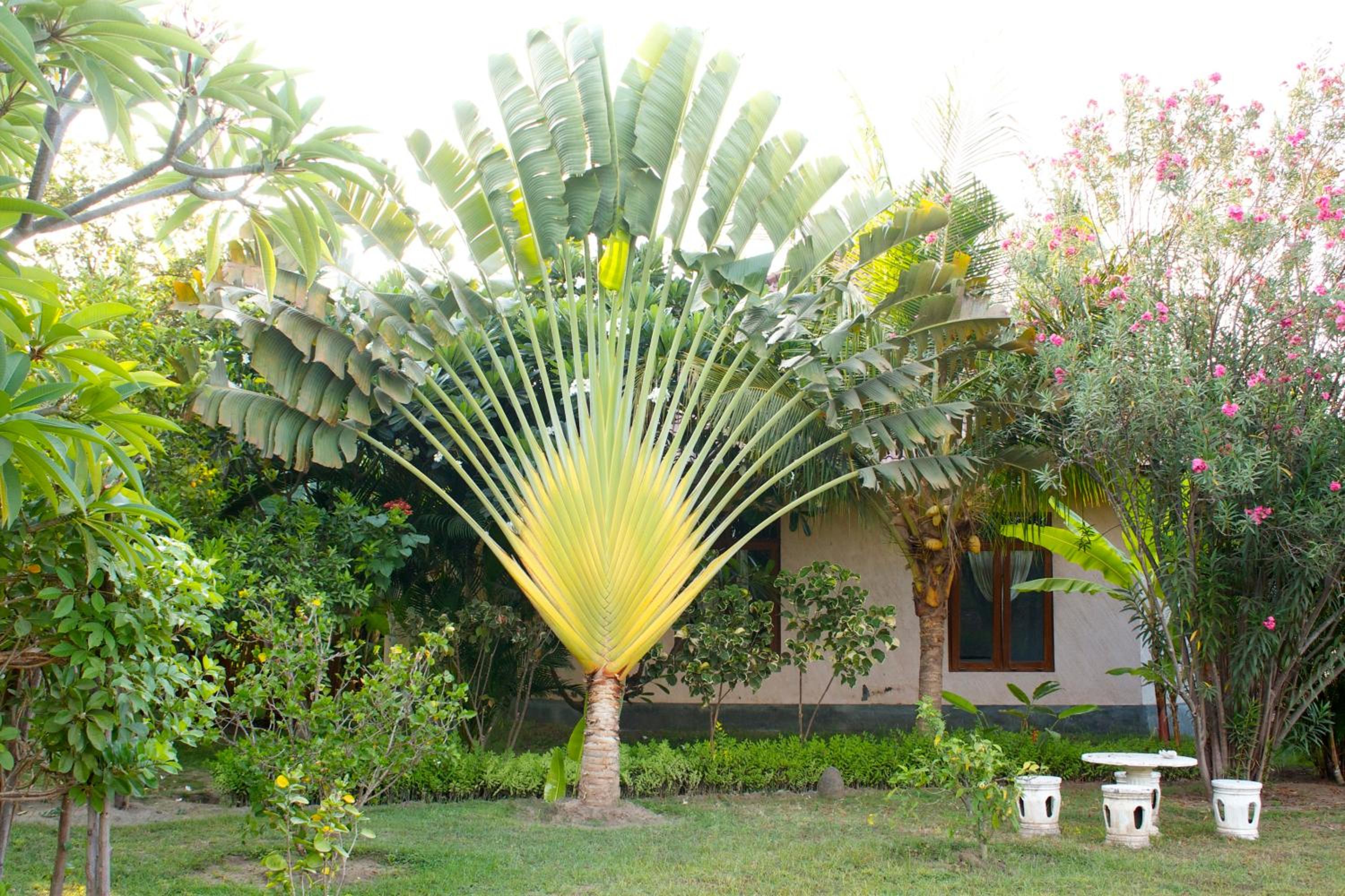 Bali Oase Resort