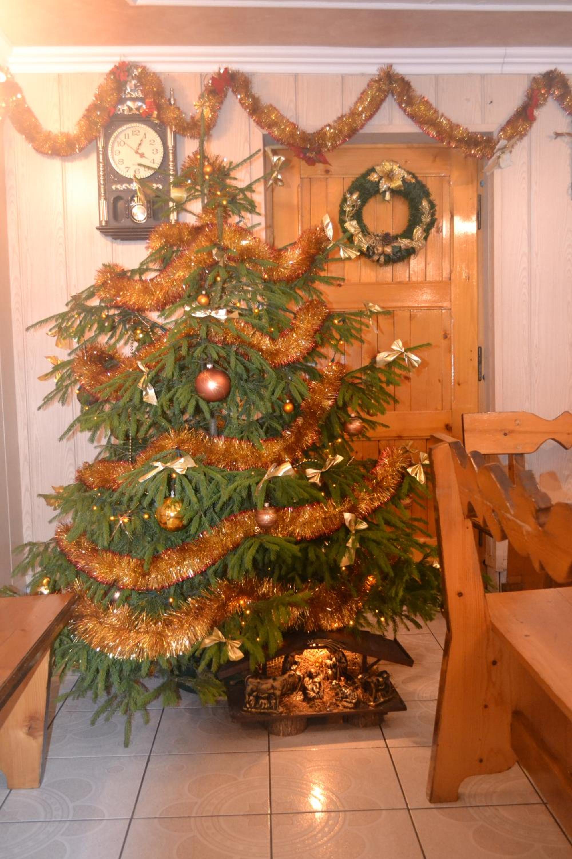 Photo 29