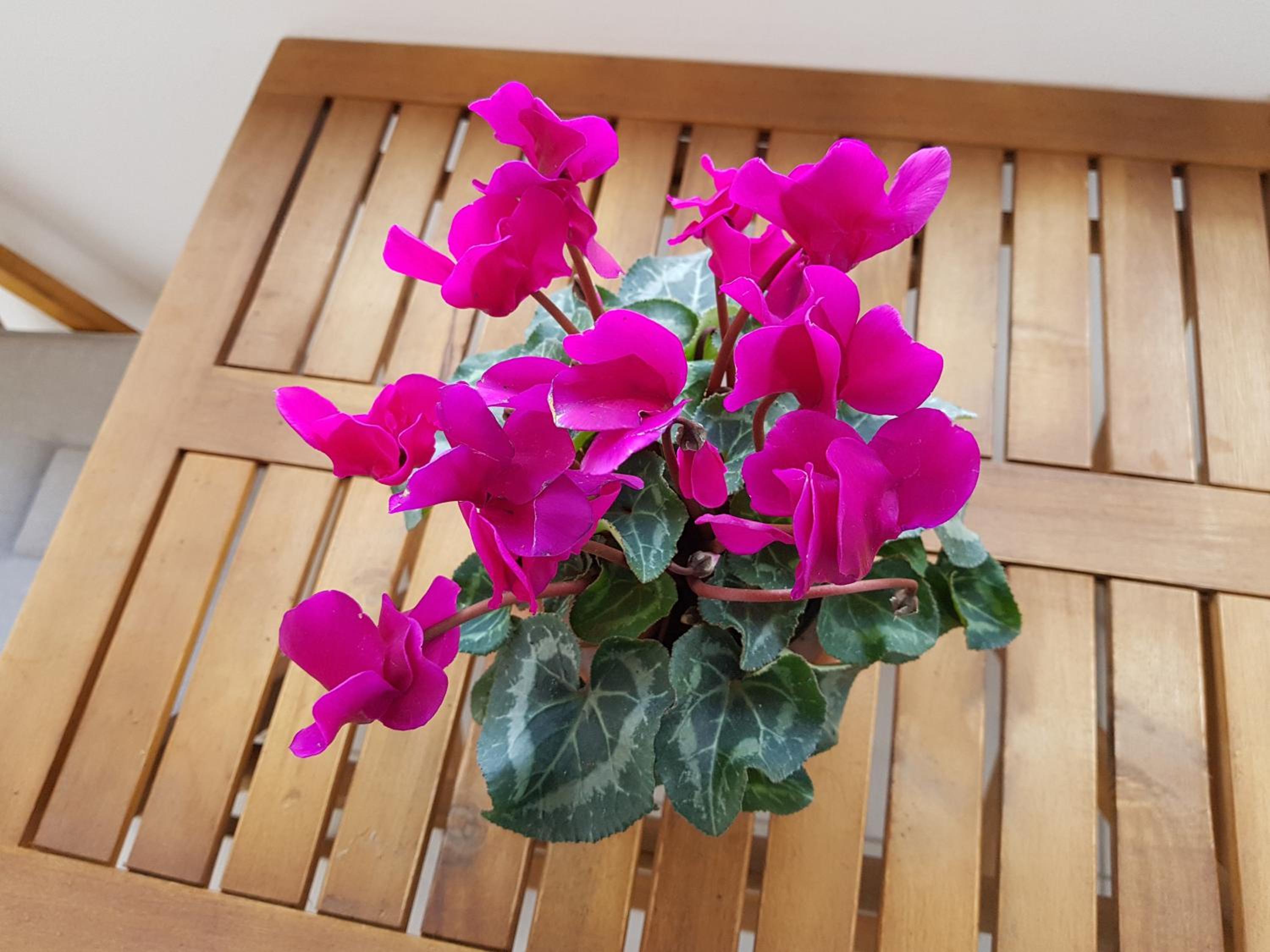 other