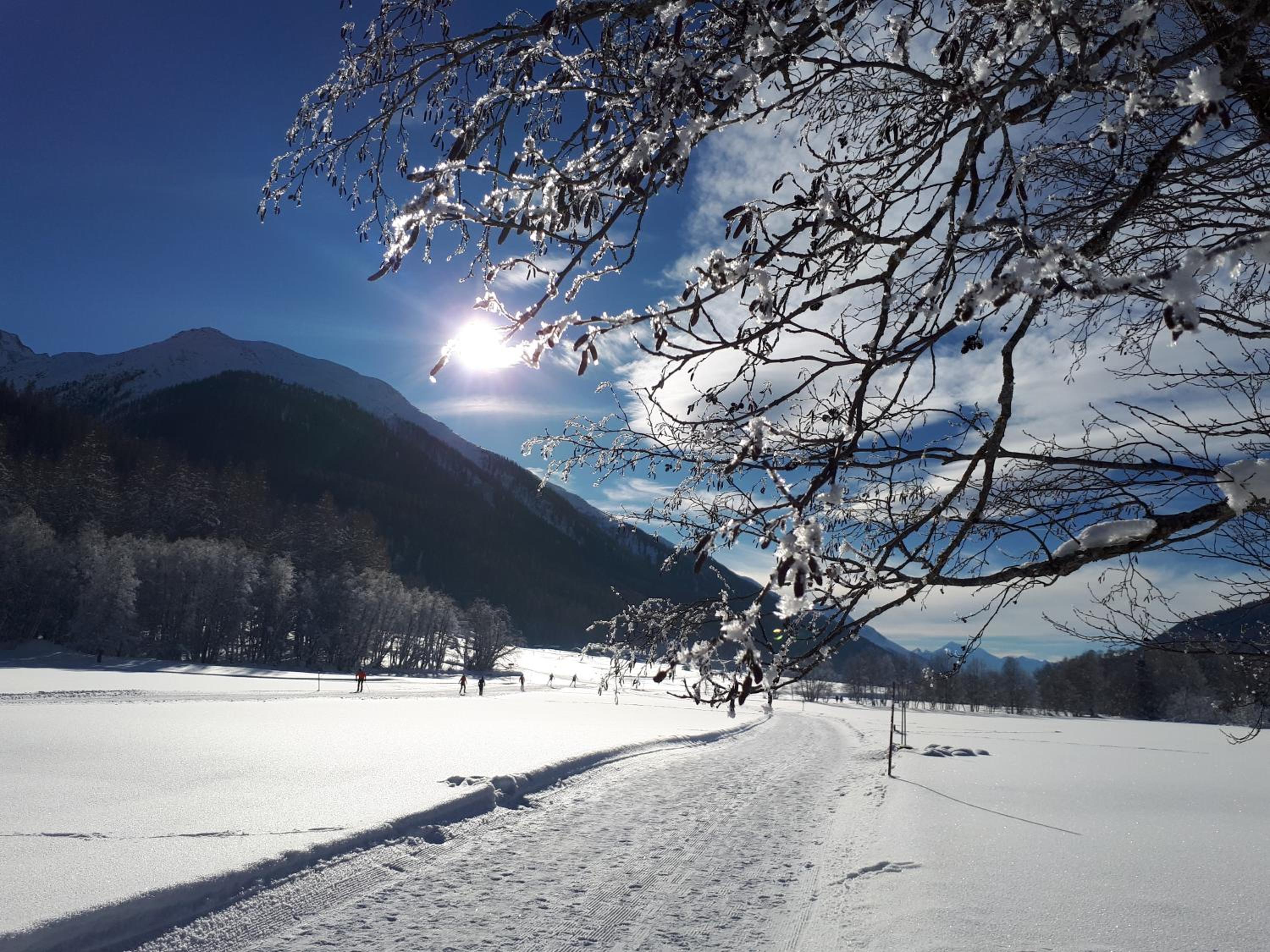 Alpensonne