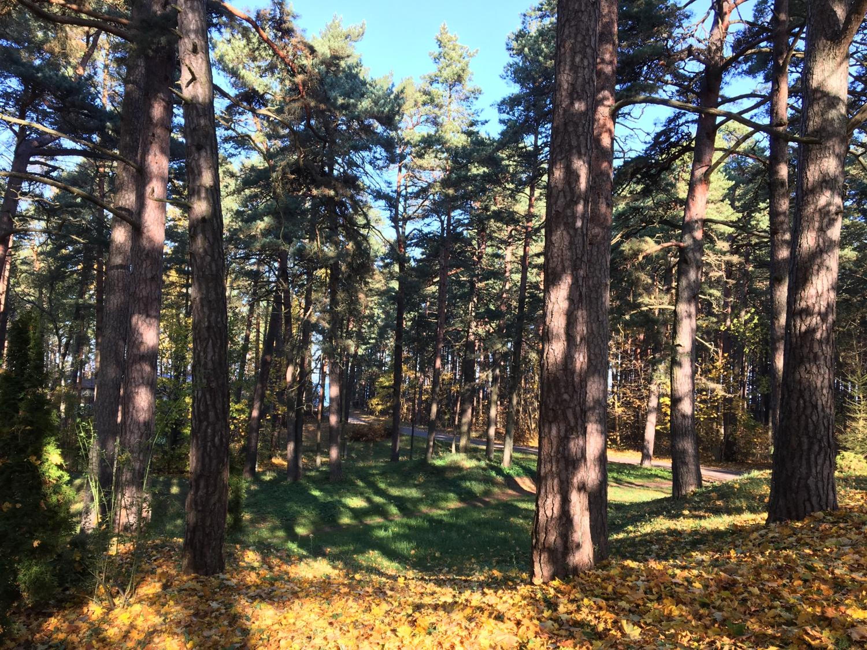 Photo 19