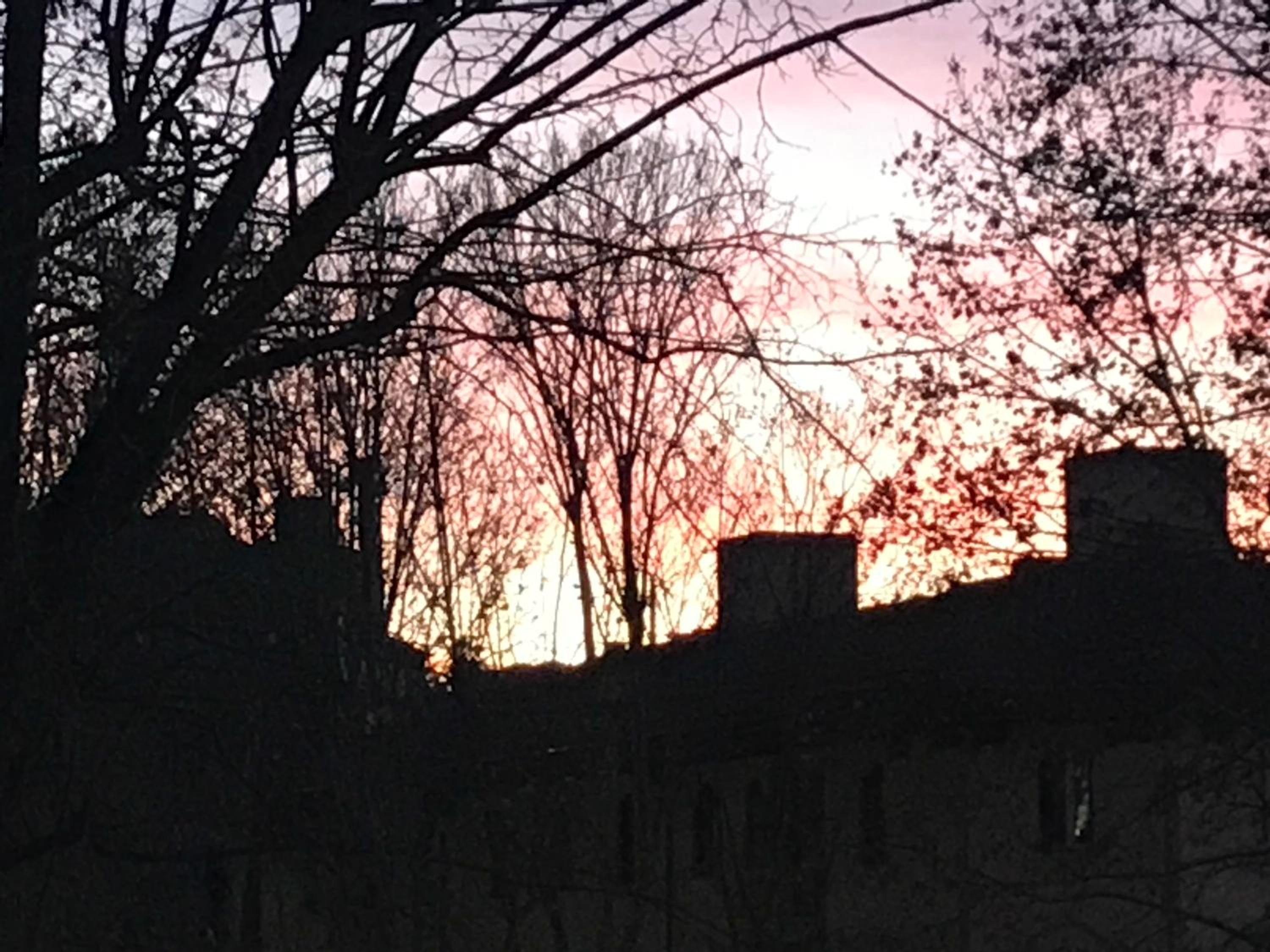 Trastevere Stars
