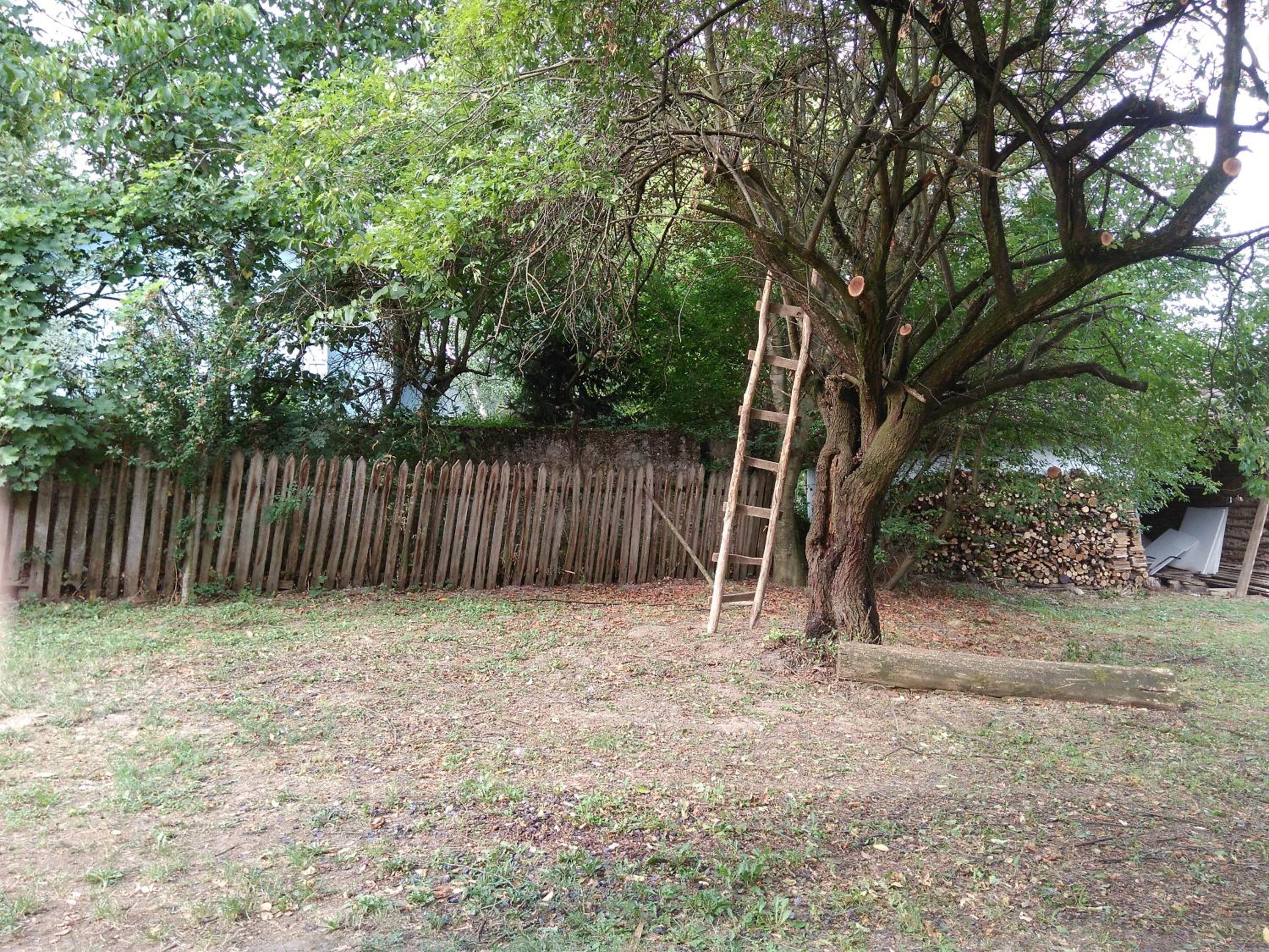 Photo 38