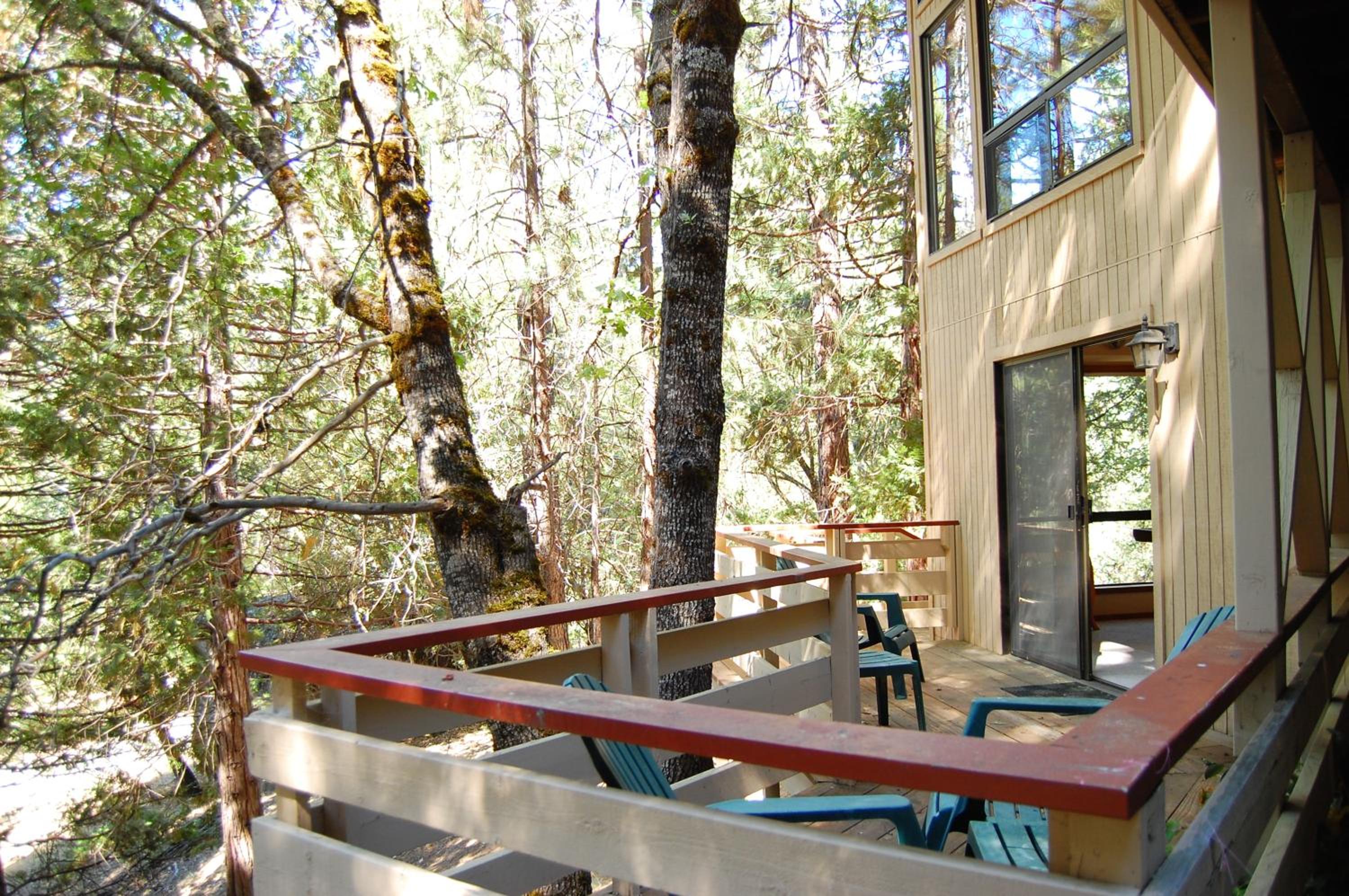 18A Pohono Pines view 3