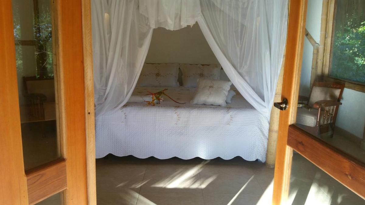 Photo 46