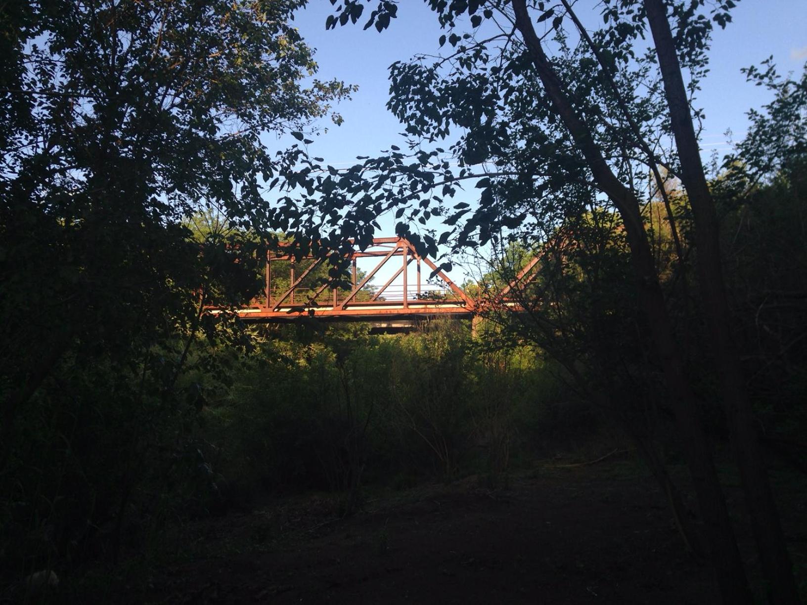Photo 14