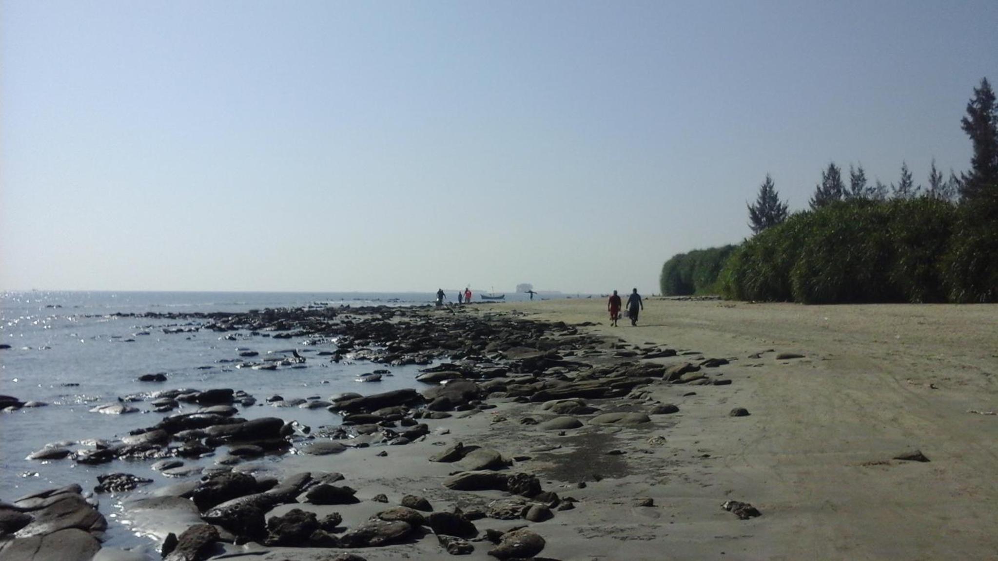 Photo 31