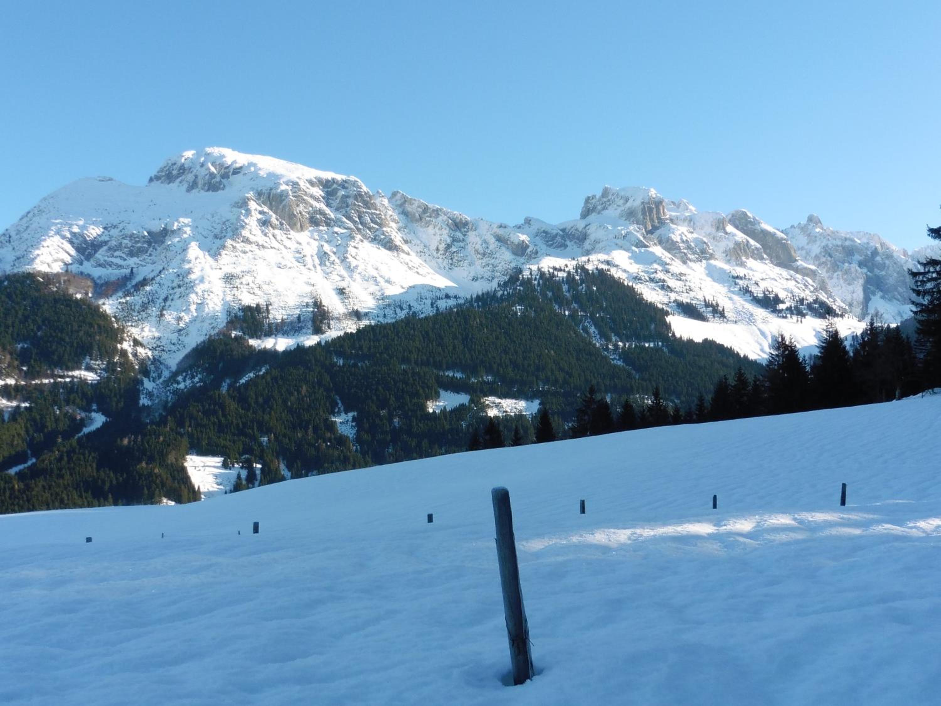 Hilde view 3