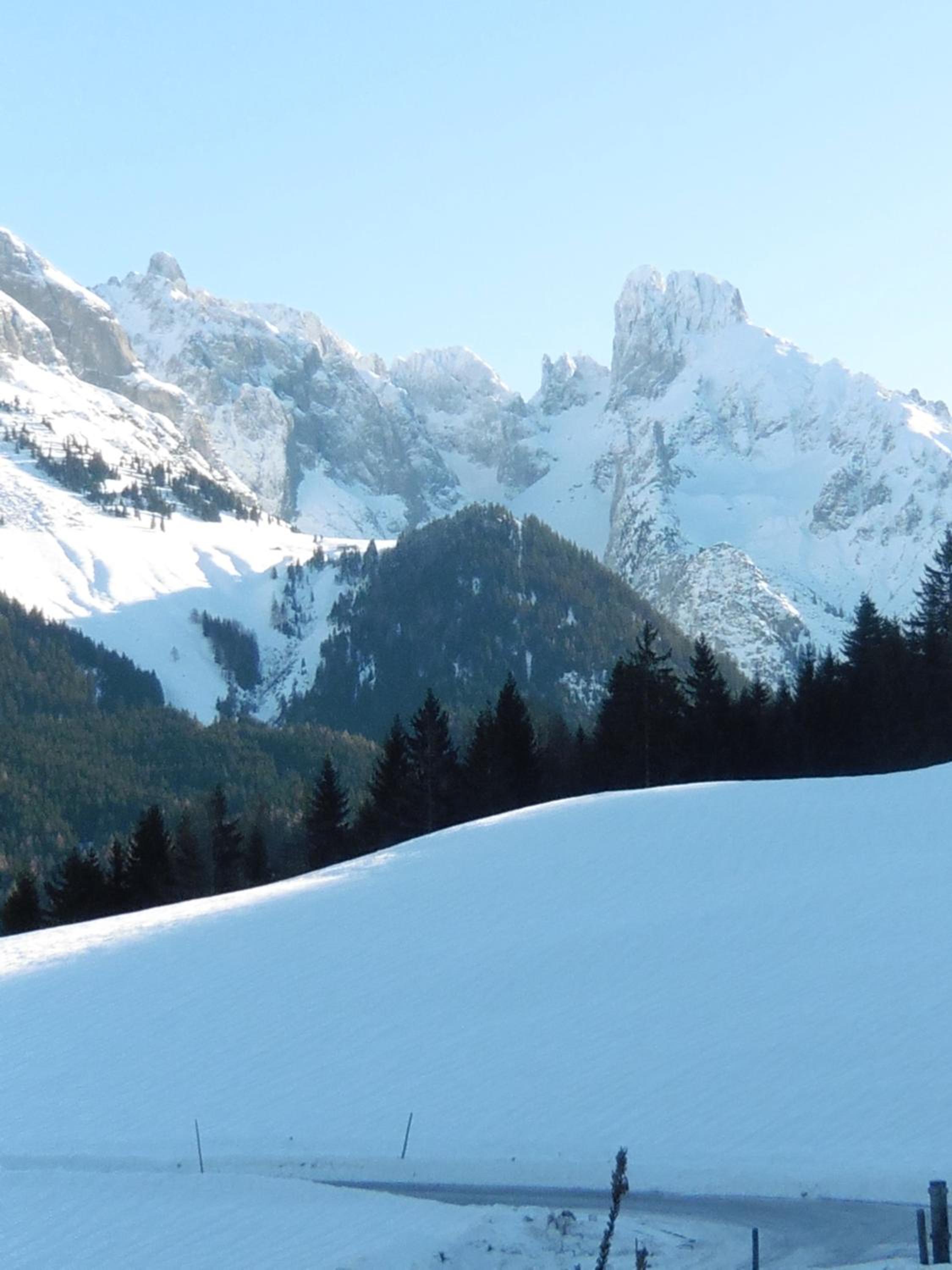 Hilde view 5