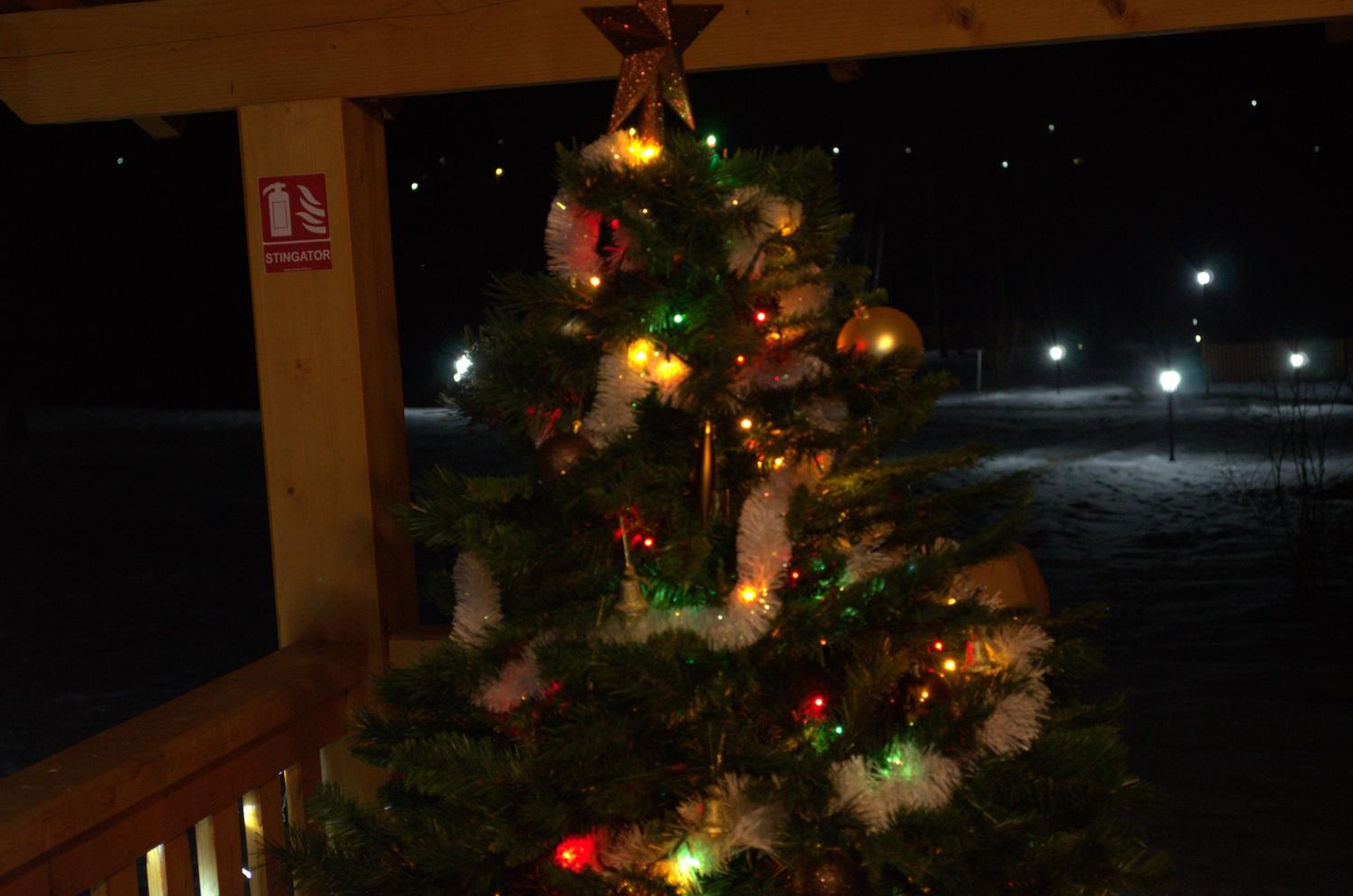Photo 48