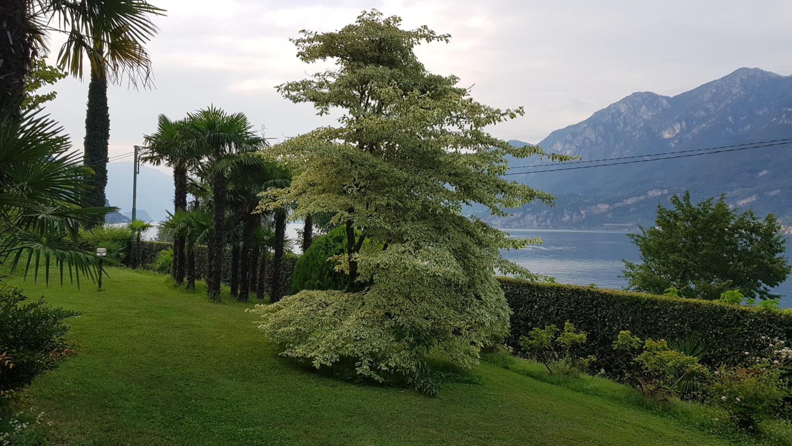 Villa Ucci