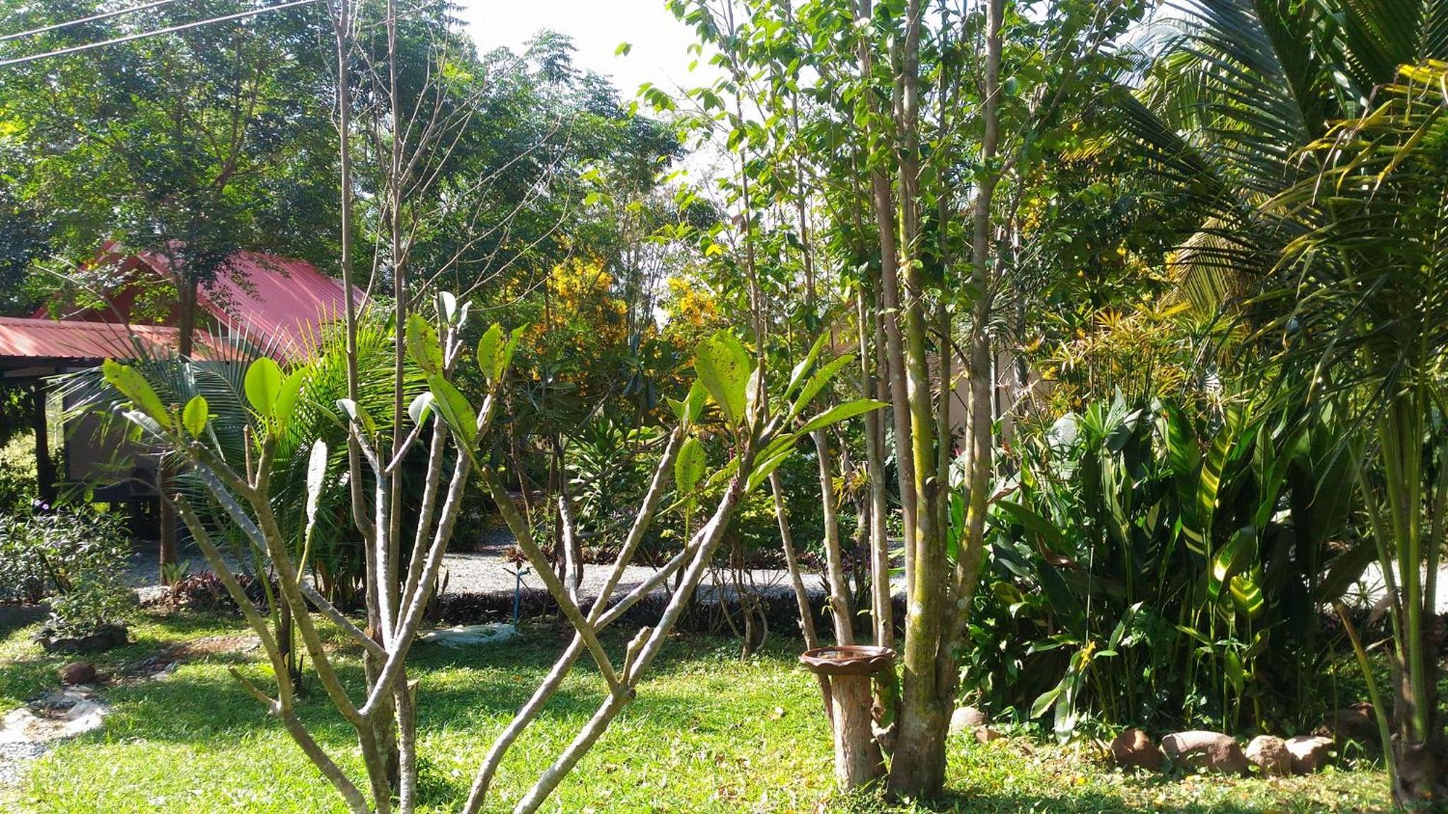 Areeya Resort