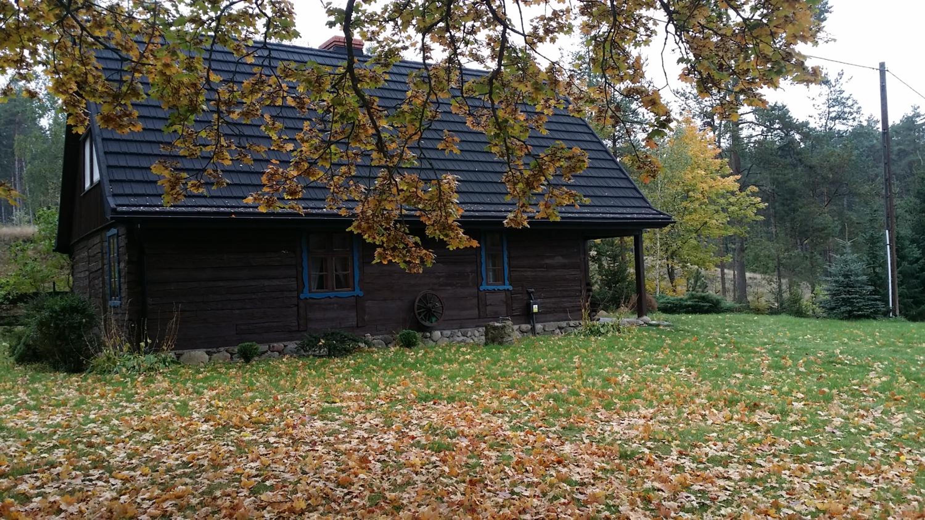 Photo 42