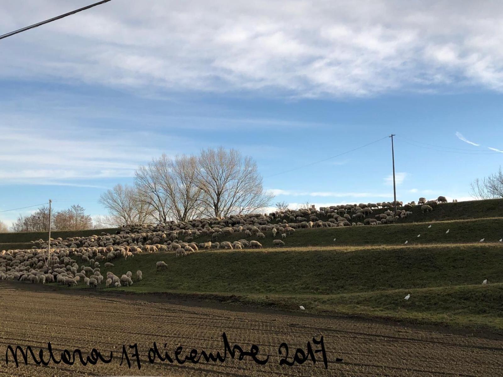 Green House in campagna - Property Image 90