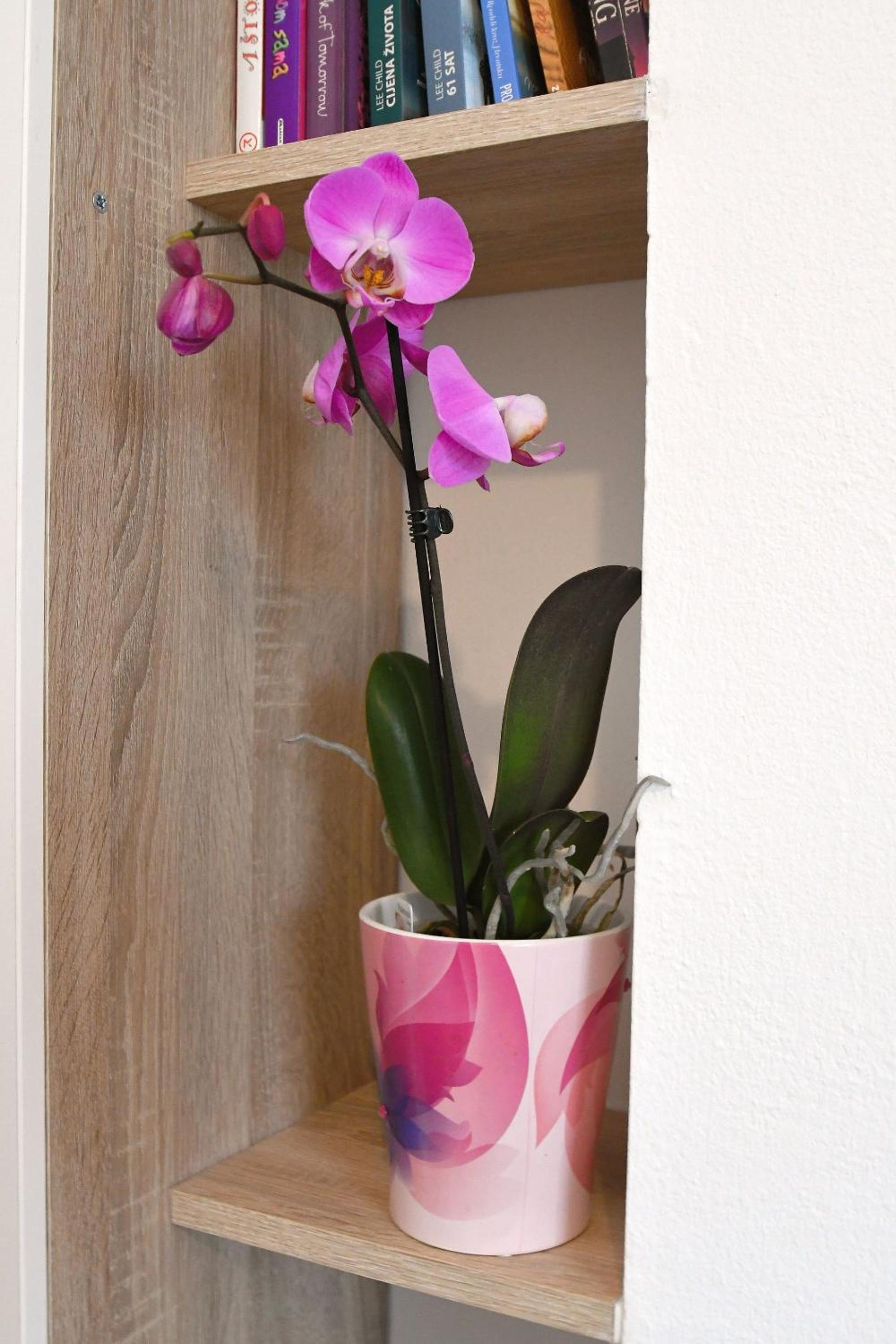 Studio apartman Kris